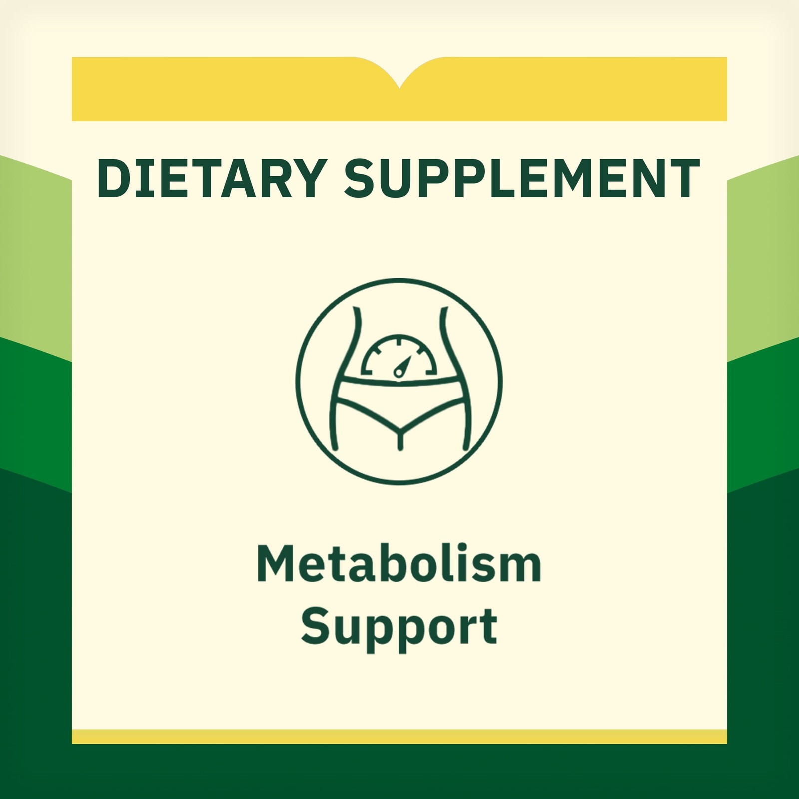 Spring Valley Vitamin B12 500 mcg Tablets Metabolism Support 100CT SAME-DAY SHIP
