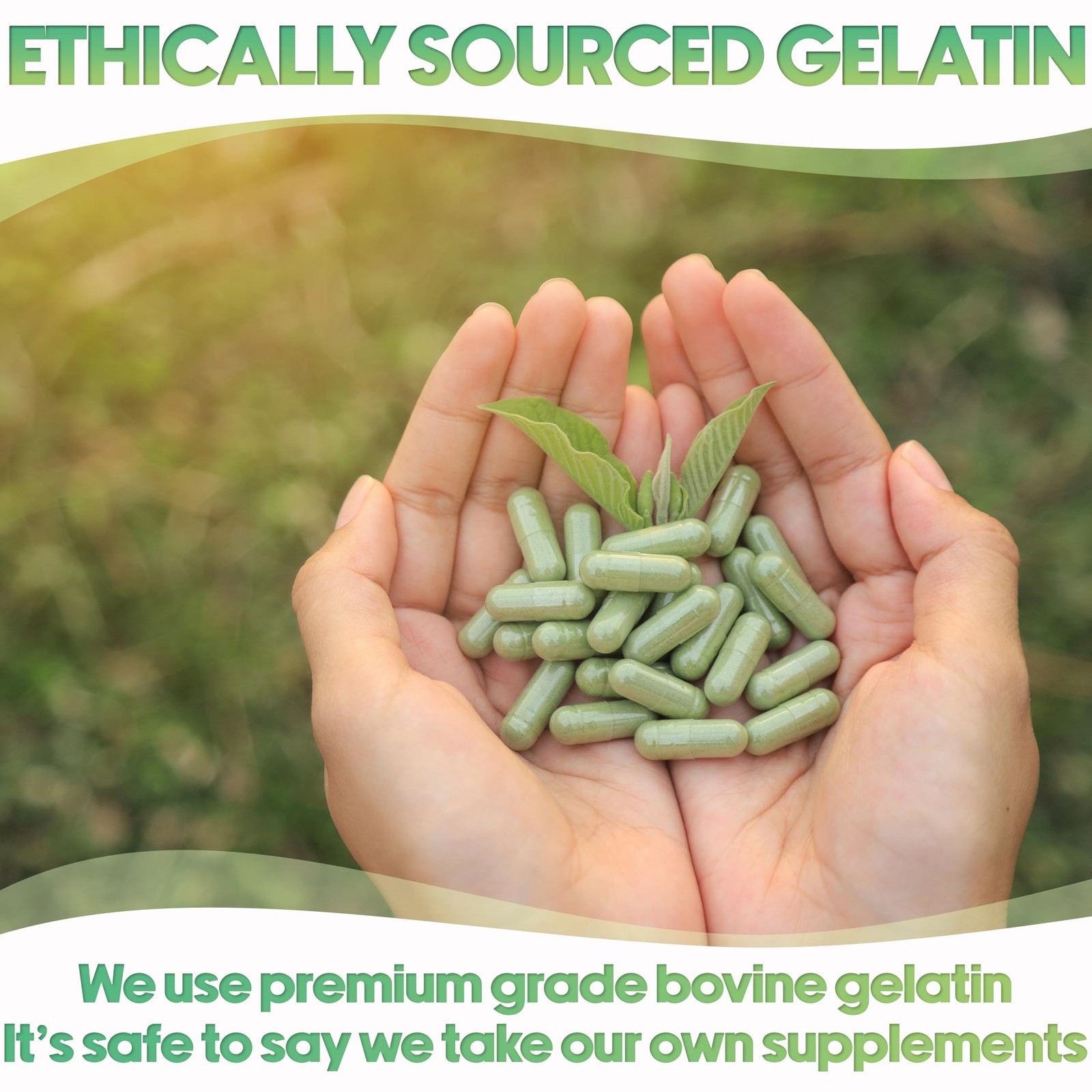 Gelatin Size 00 Separated Capsules – 100 Clear Count Gelatin Empty Capsules S…