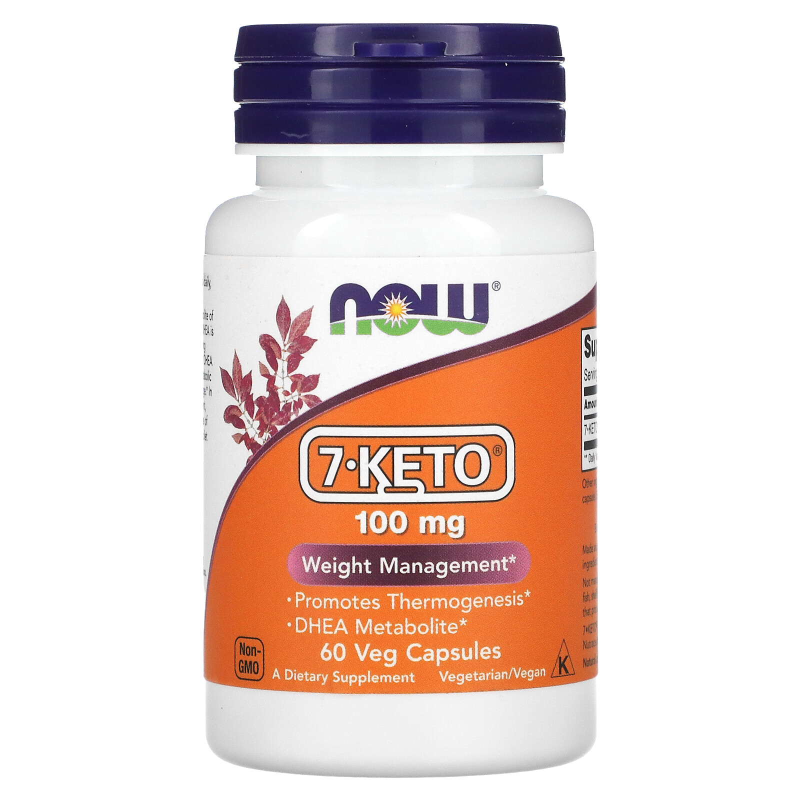 Now Foods 7-KETO 100 mg 60 Veg Capsules GMP Quality Assured, Vegan, Vegetarian