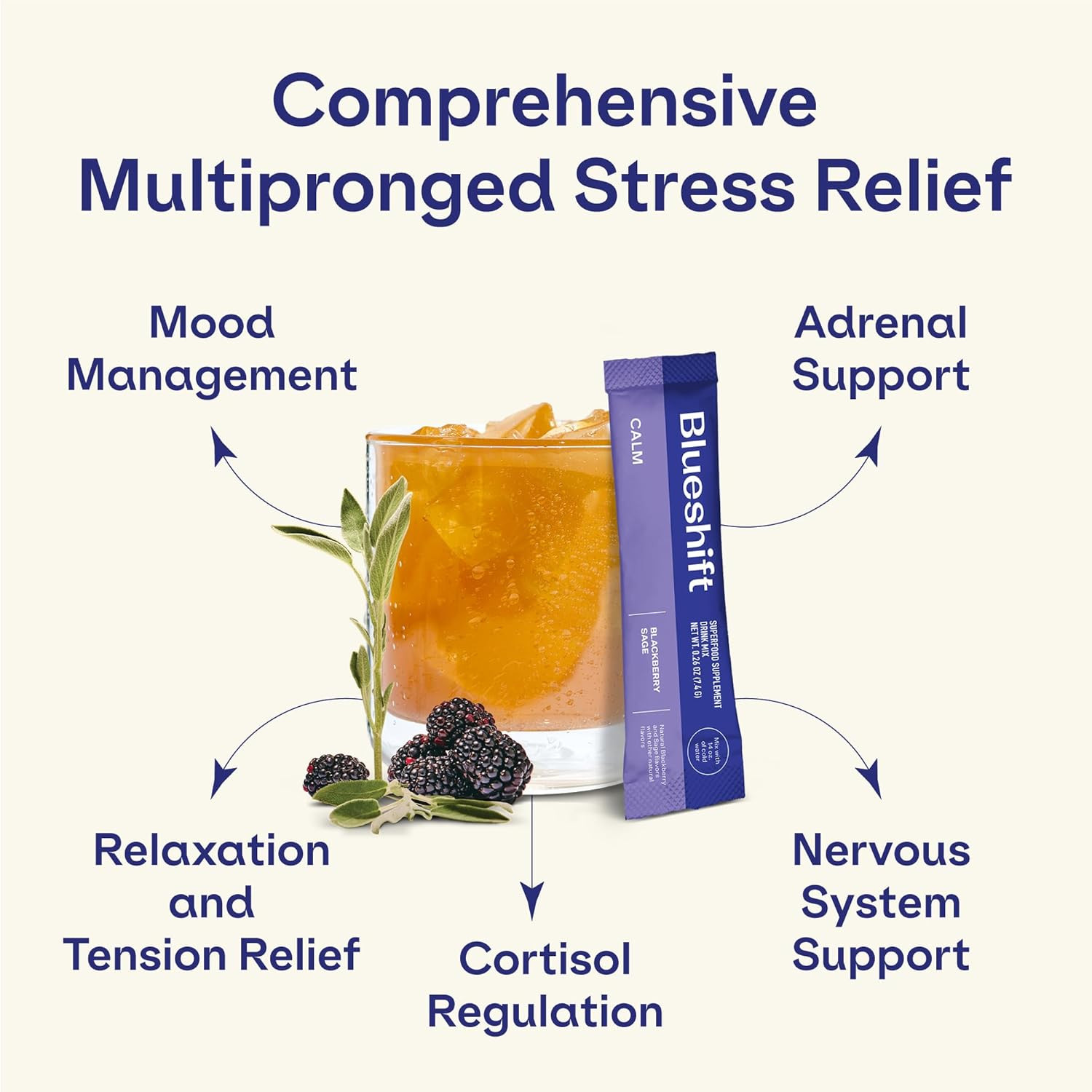 Stress Relief Drink Mix for Adults – Blackberry Sage | Ashwagandha, Lemon Bal…