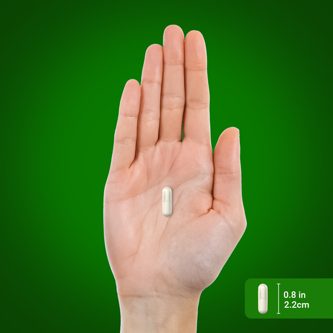 Green Lipped Mussel Capsules | 750mg | 120 Count | Non-GMO | by Piping Rock