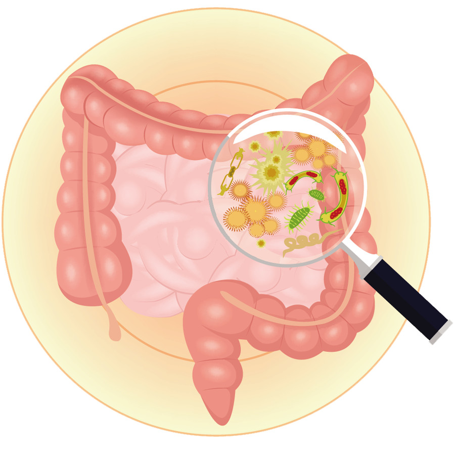 PROBLEMA INTESTINAL 100% NATURAL