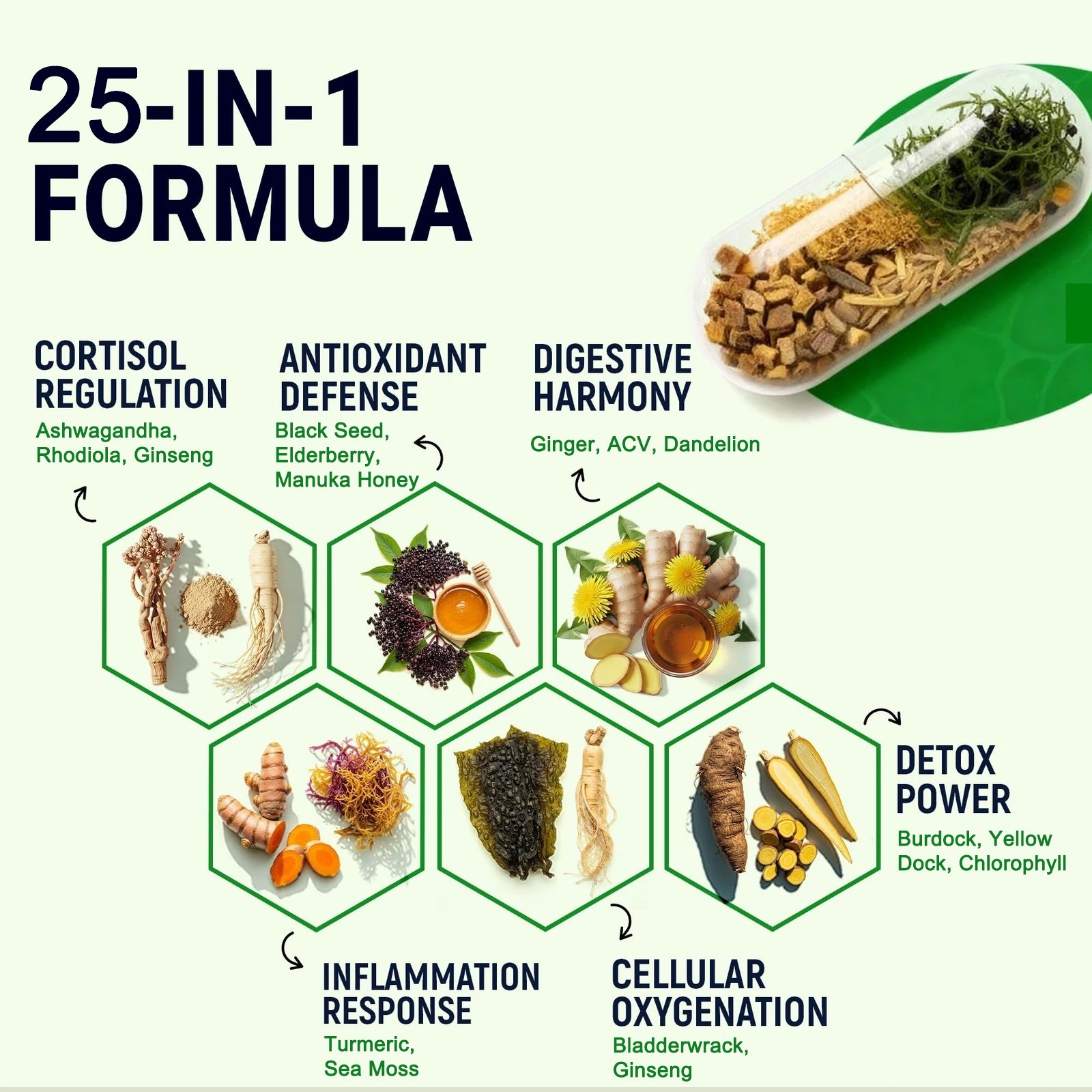 120 Pills Organic Irish Sea Moss 21762MG with Burdock Root Bladderwrack Shilajit
