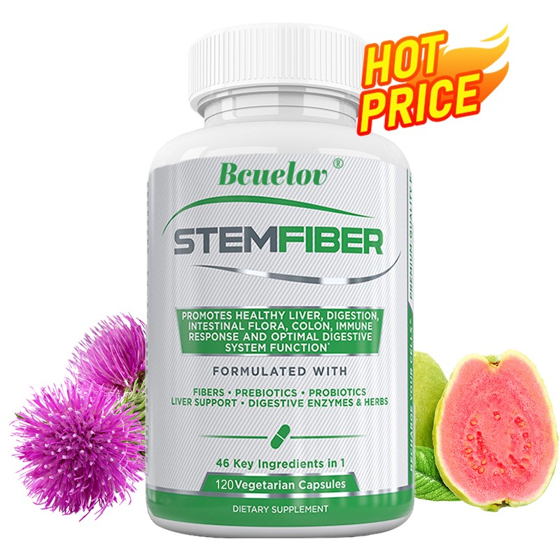 Boost Digestive Health With Fiber Probiotics Enzymes 120 Caps cGMP Certified