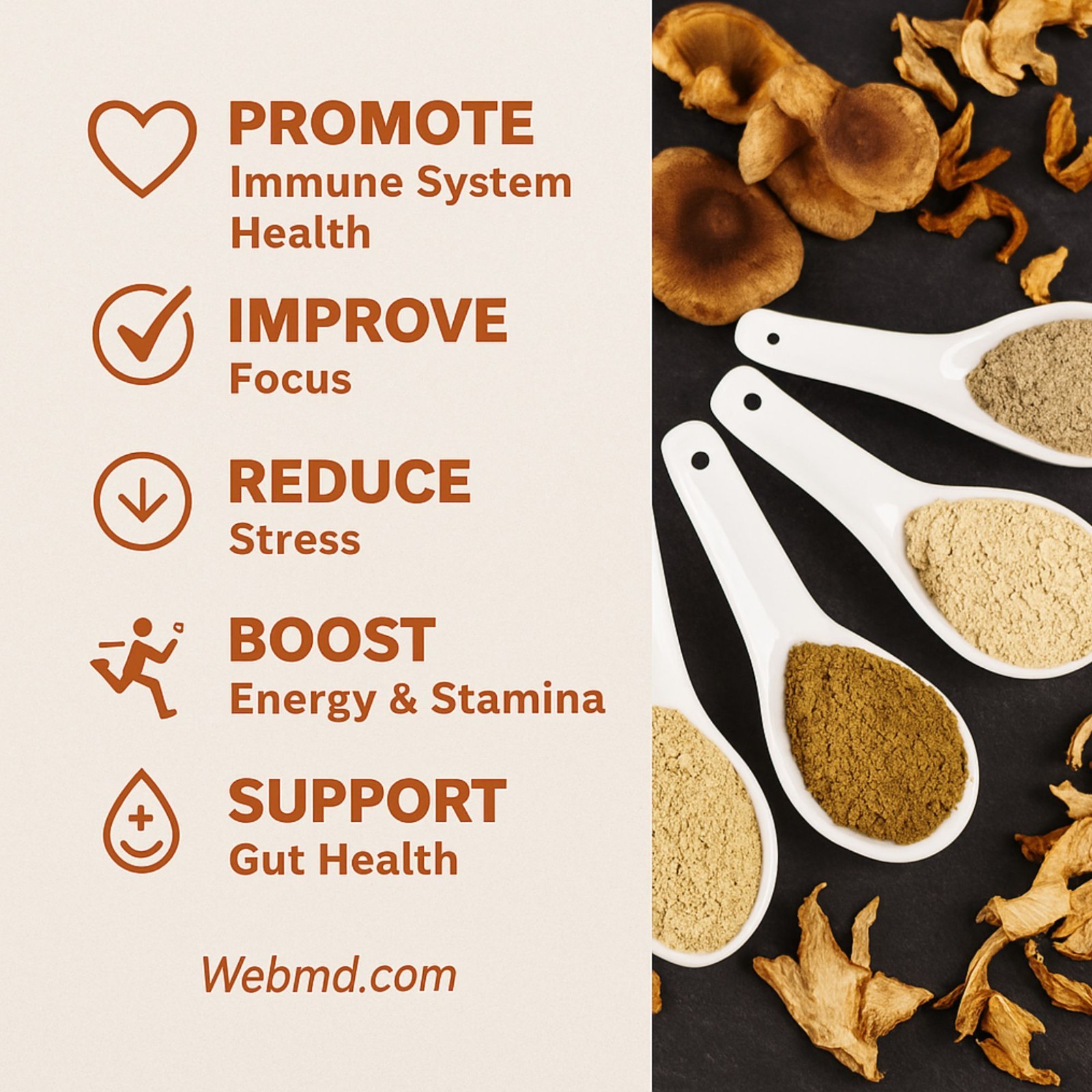 Organic Mushroom Blend 7 in 1, Lions Mane, Reishi, Chaga, Maitake, Cordyceps