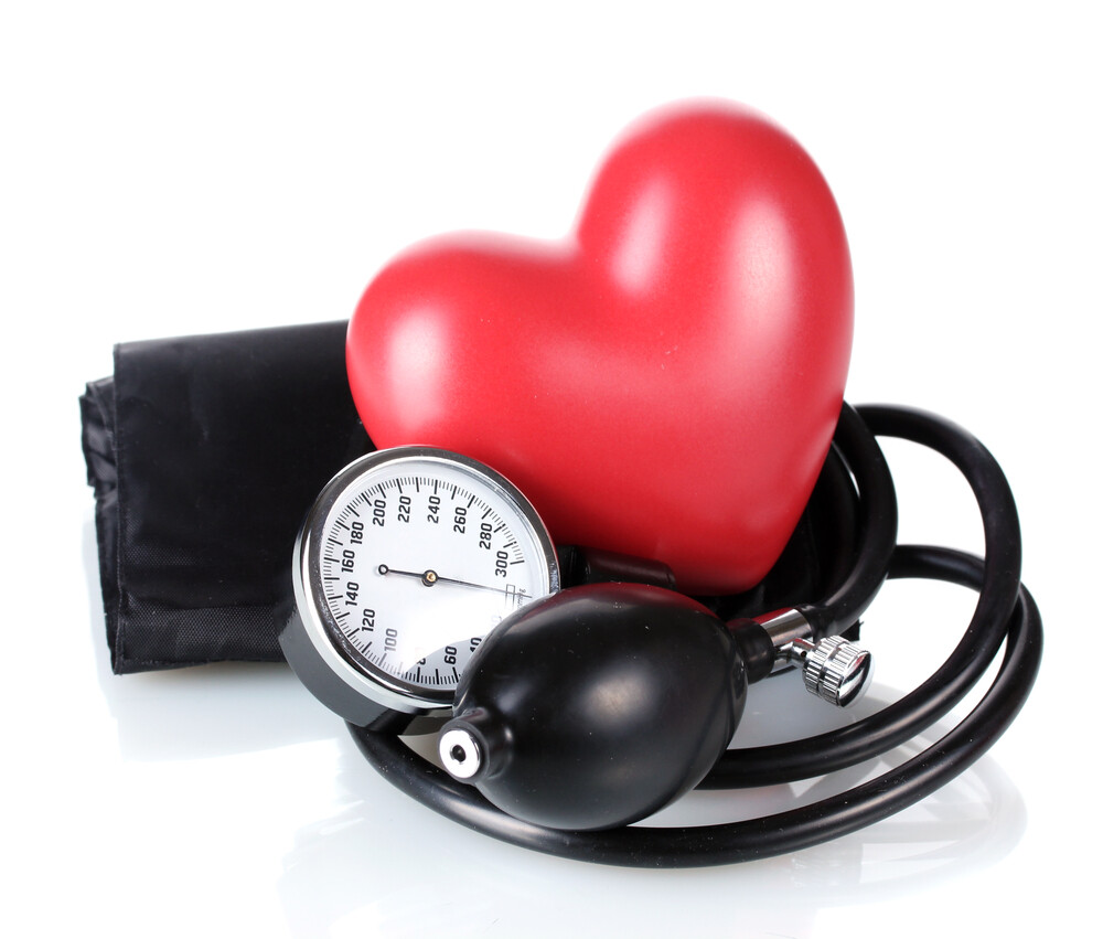 milk thistle extract – LIVER SUPPORT COMPLEX – weight loss supplement 1B