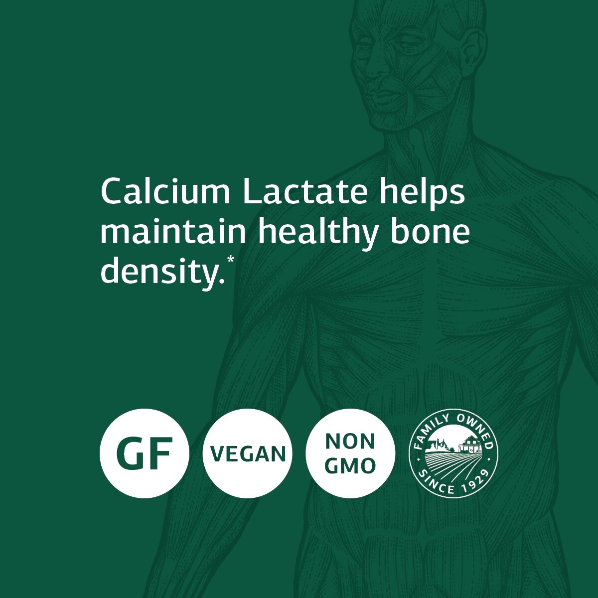 Standard Process Calcium Lactate Immune Support, 360 Tablets