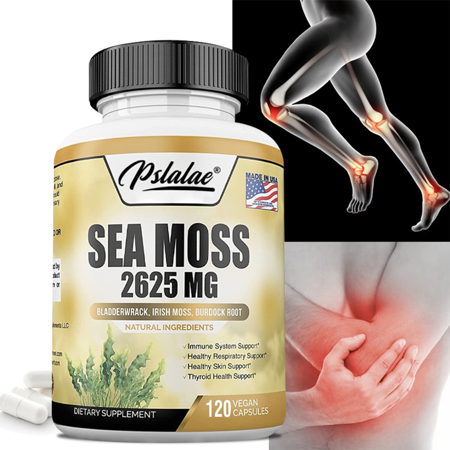 Sea Moss Capsules – Irish Moss, Bladderwrack, Burdock, Digestion & Immune Health