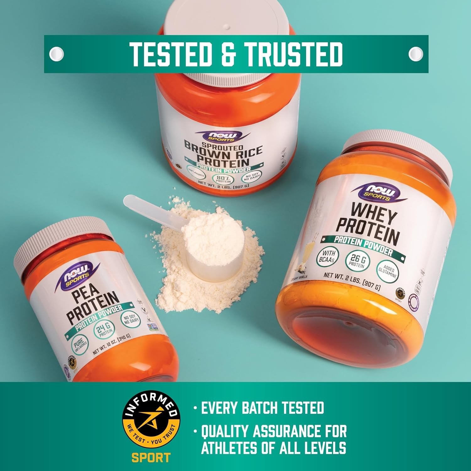 NOW Sports, Egg White Protein, 20g w/BCAAs, Creamy Vanilla Powder, 1.5 lbs