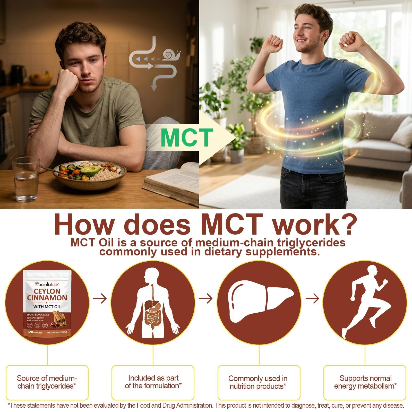 Ceylon Cinnamon Softgels with MCT Oil – 600mg True Cinnamon, Digestive Support,