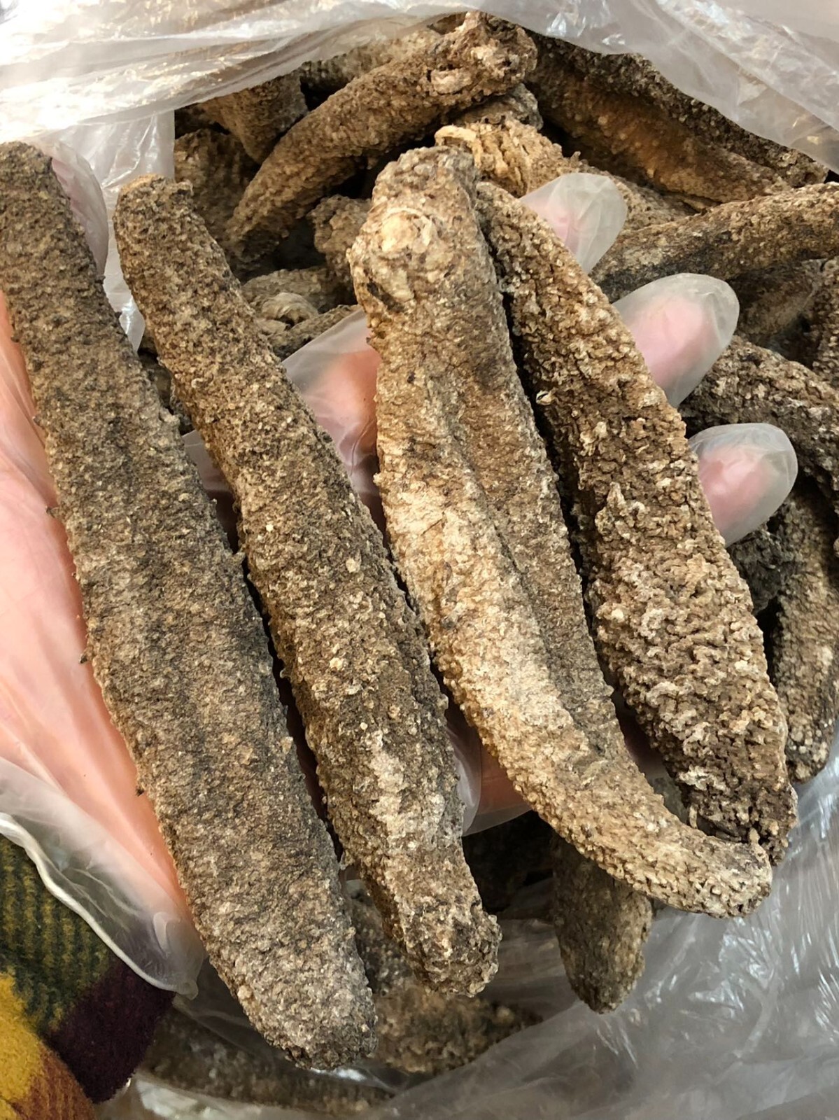 阿拉斯加红参(海参)Super 3A natural Sun Dried ALASKA Red Sea Cucumber(Size XXL)1LB/Bag