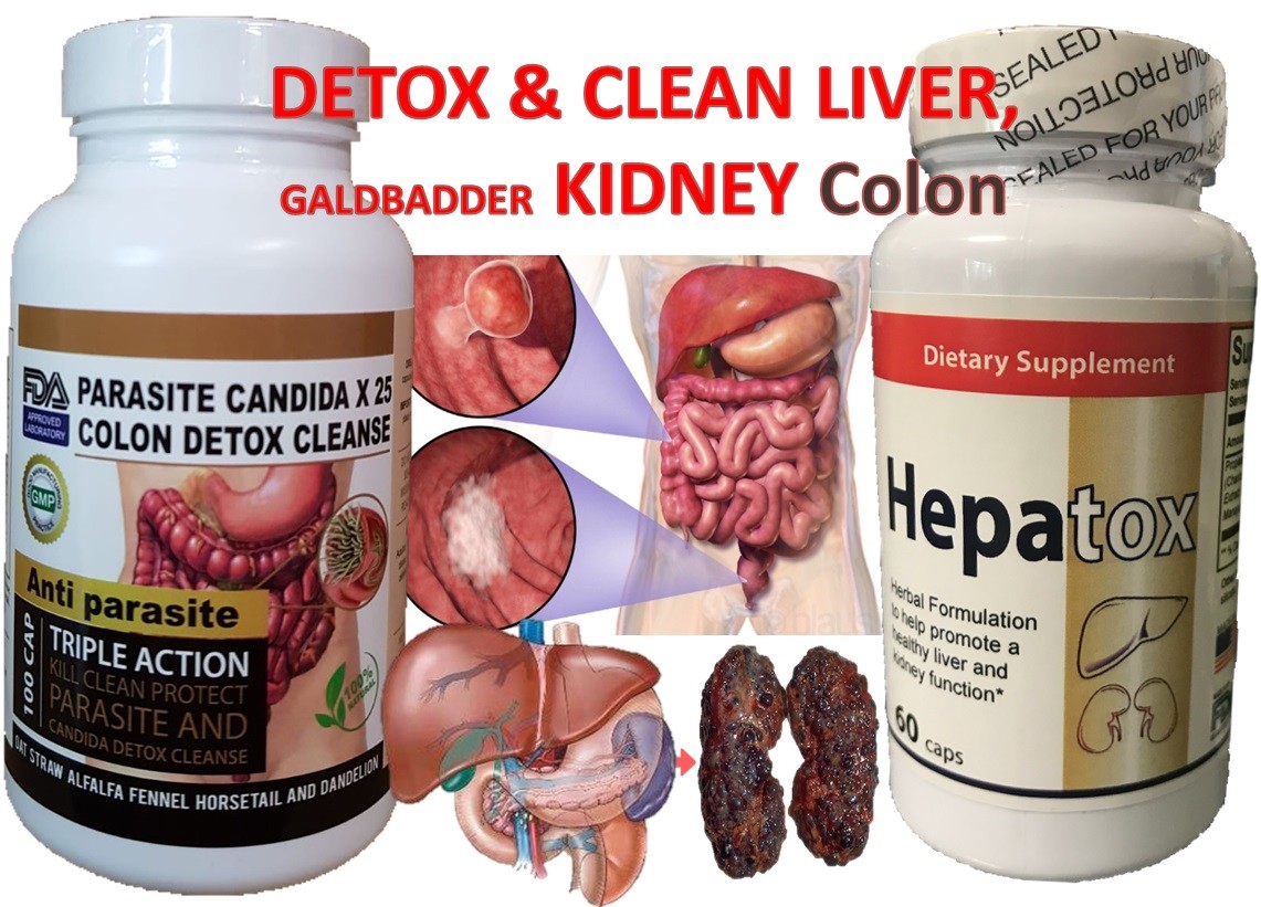 Detox kidney liver Support Kidney Function intestine colon Healthy Liver Support