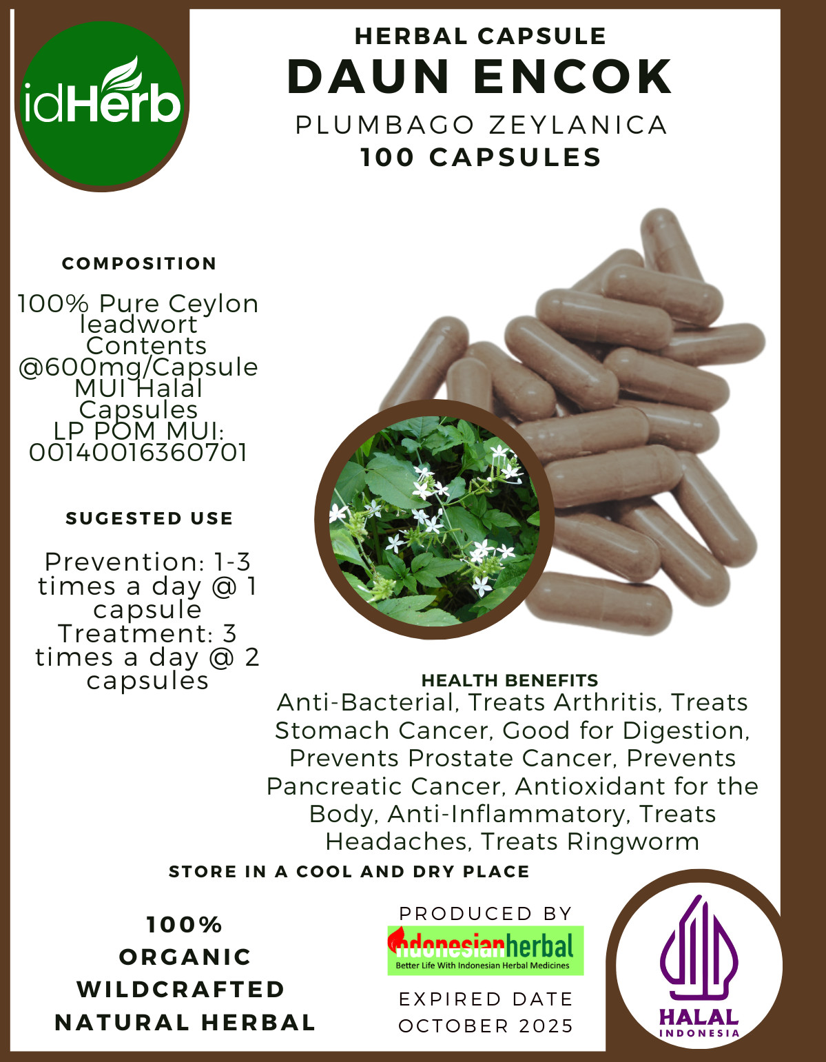[idHerb] 100-800 Capsules Doctorbush Ceylon leadwort Plumbago Zeylanica Organic