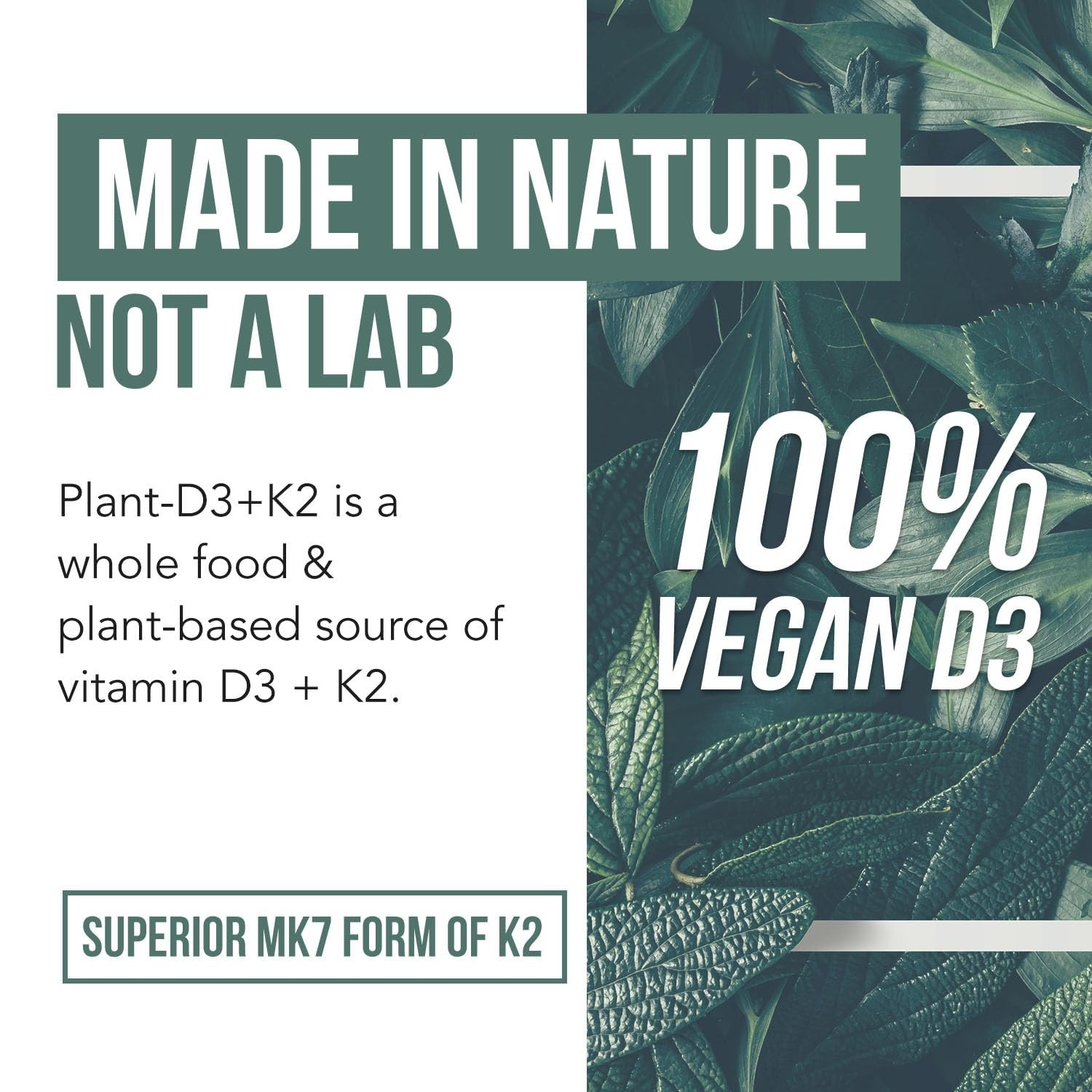 Organic D3 K2 Vitamins 5000 IU + 120 mcg MK7 | Vegan Whole Food Supplement – 60