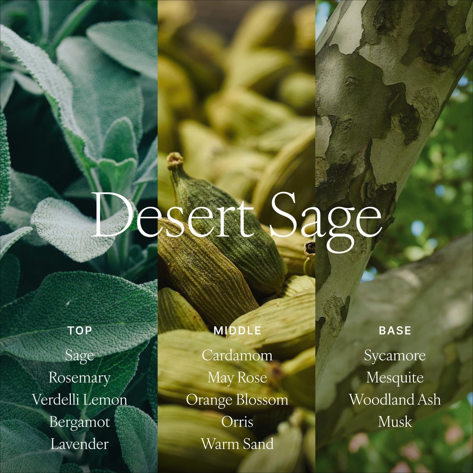 Antica Farmacista Room Spray Desert Sage 3.4 Fl Oz (Pack of 1)