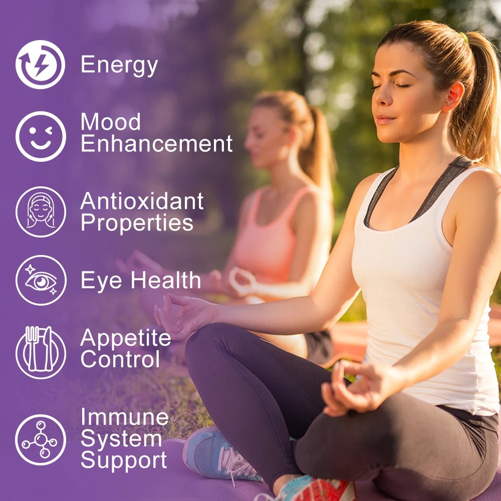Saffron Extract 240 Softgel – Weight Loss Appetite Suppressant Saffron Capsules