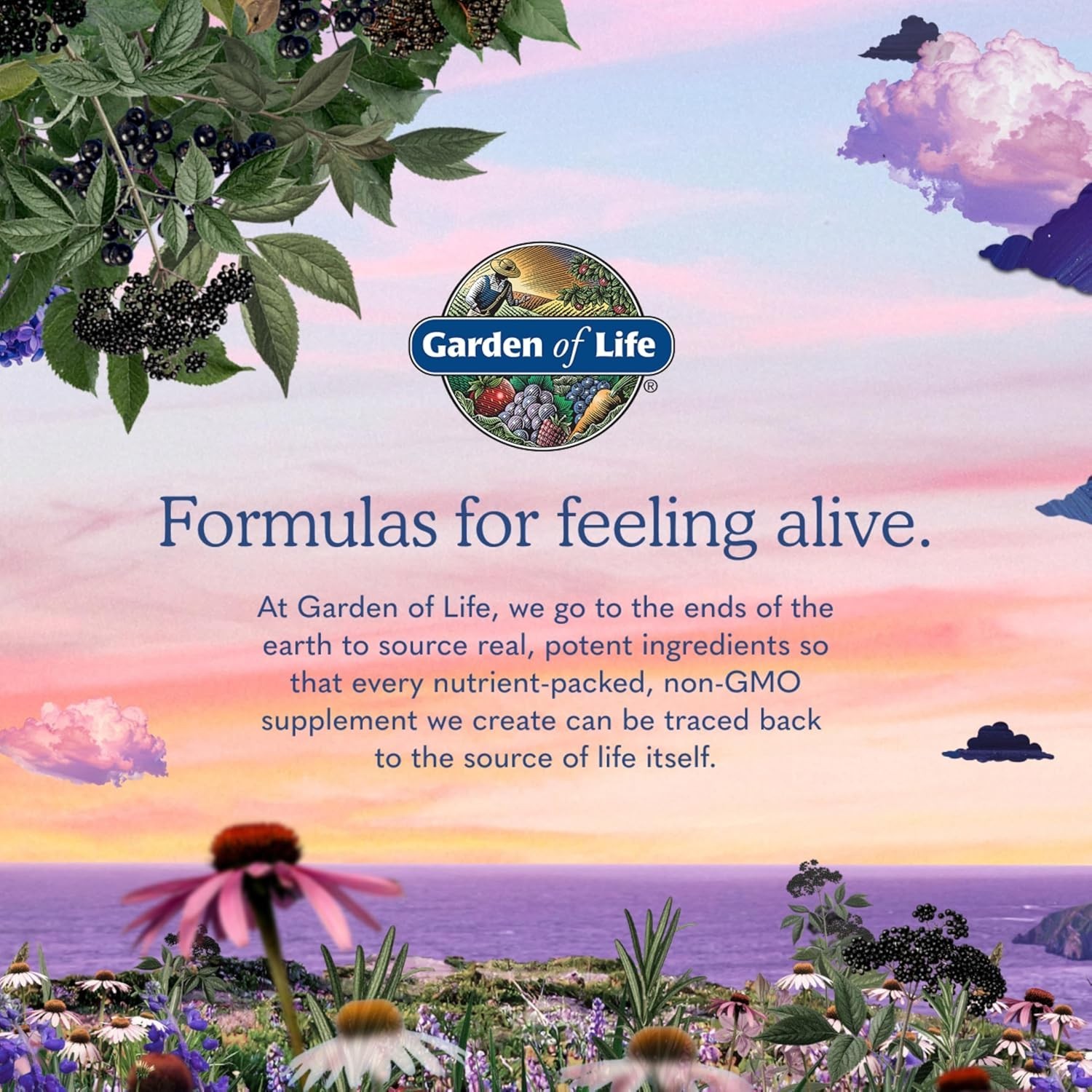 Garden of Life Raw Zinc 30mg with Vitamin C – Whole Food Immune & Skin Supplemen