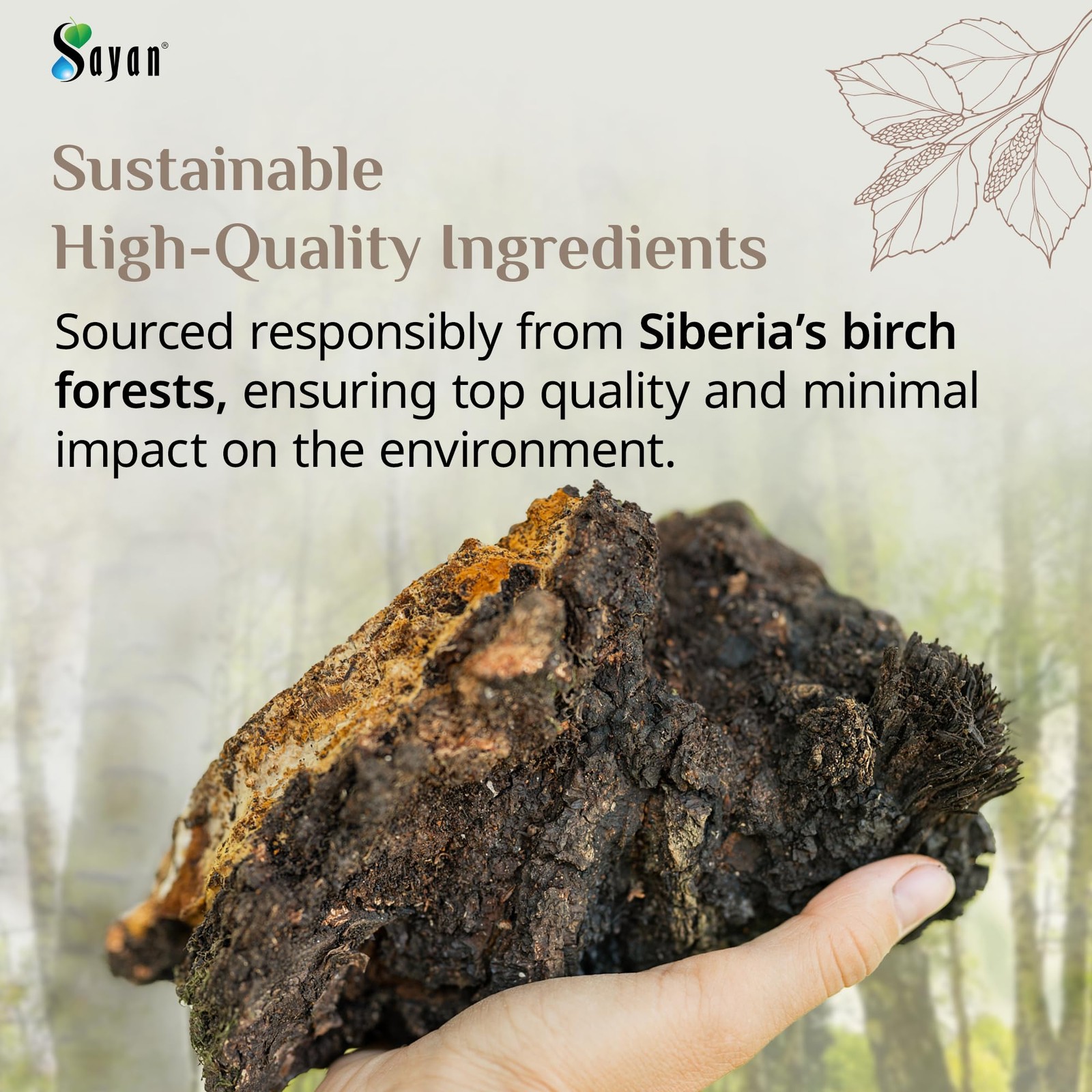 Sayan Siberian Pure Raw Coarse Chaga Powder 8 Oz / 226g – Premium Wild Forest…