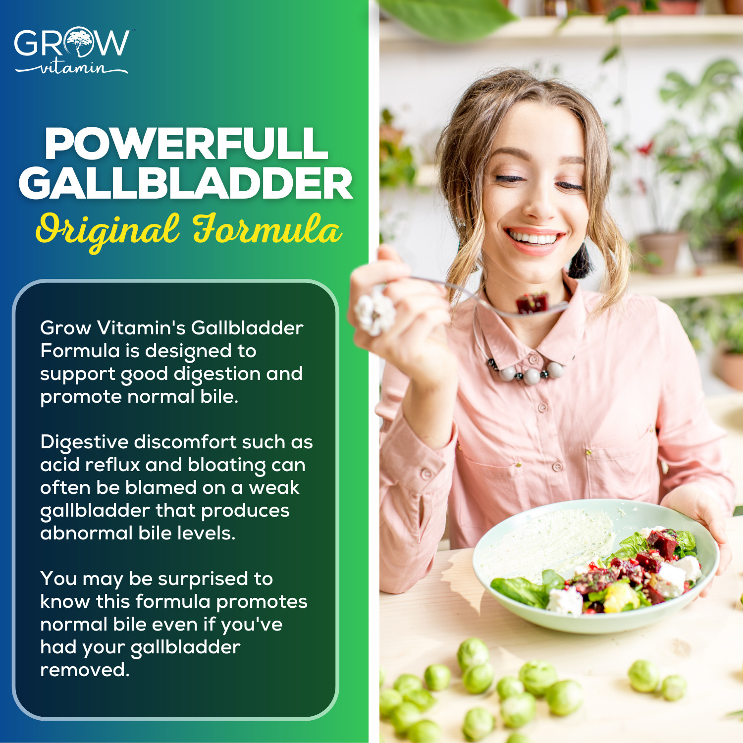 Gallbladder Formula Made w/Purified Bile Salts & Ox Bile Digestive Enzymes, 90CT