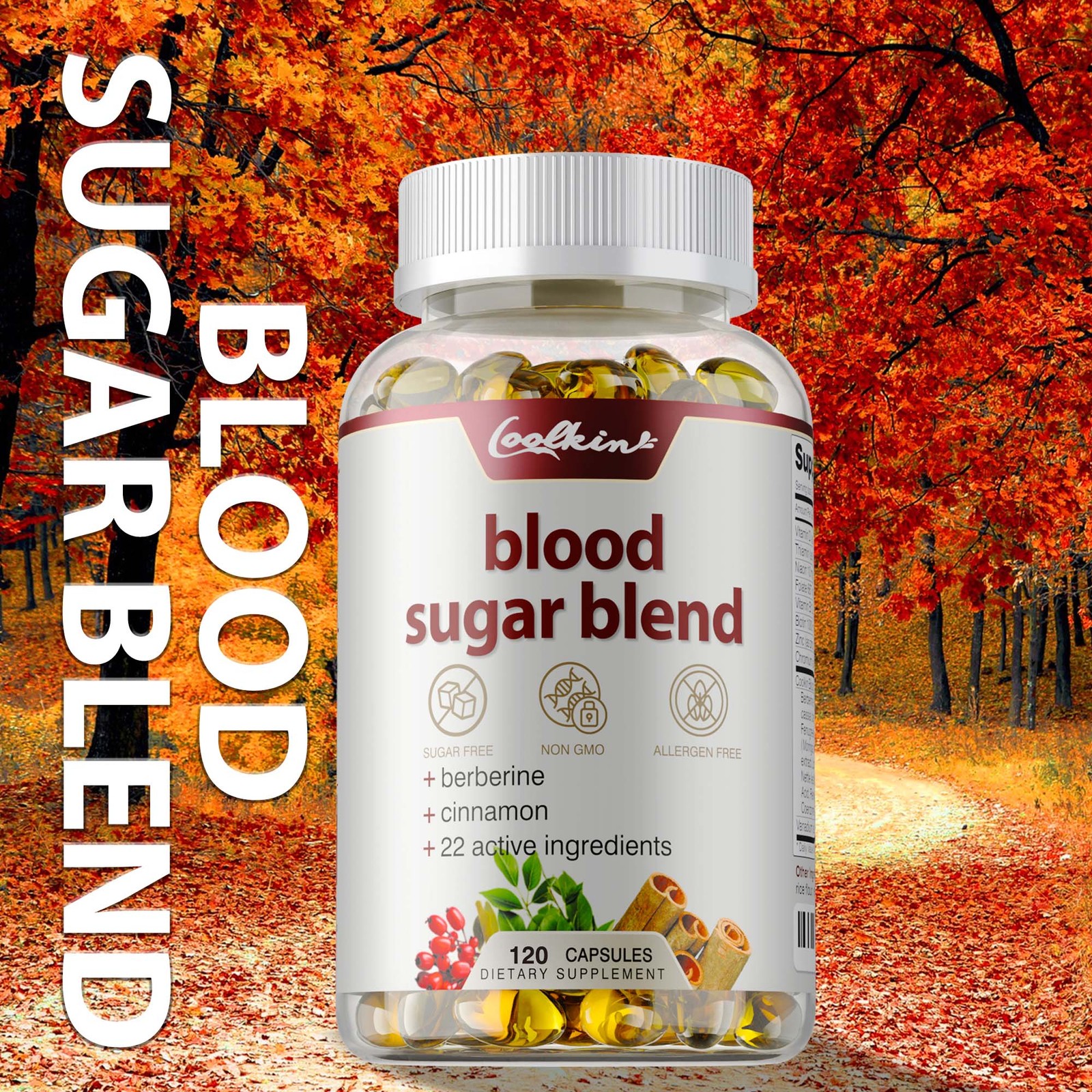 Blood Sugar Blend – Blood Sugar Supplement, Lower Sugar & Blood Pressure