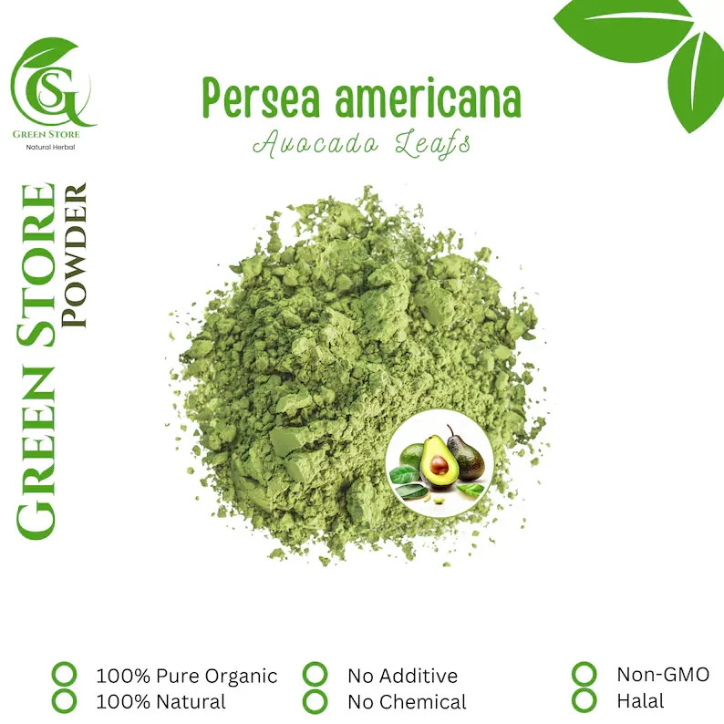 50 g – 500 g Organic Pure Powder Of Persea Americana Avocado Leaf WildCrafted
