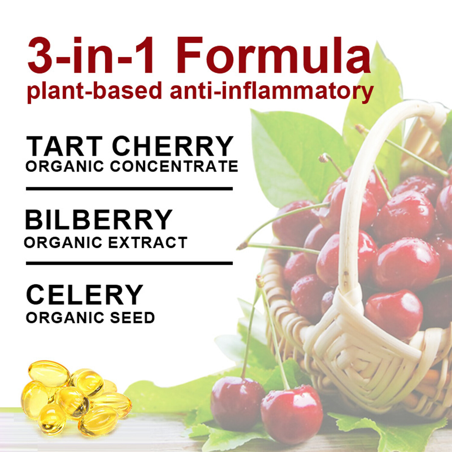 Tart Cherry Bilberry & Celery Seed – Supports Uric Acid, Relieve Joint Pain