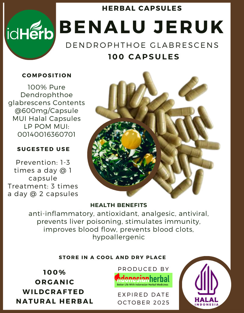 [idHerb] 100-800 Capsule BENALU JERUK Dendrophthoe Glabrescens WildCrafted