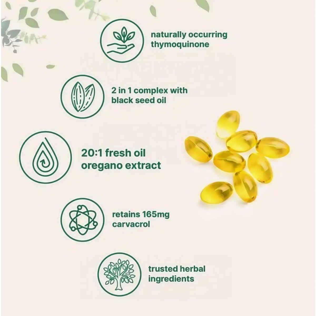 2 in 1 Oil of Oregano & Black Seed Softgels Count with Carvacrol,Immune Supports