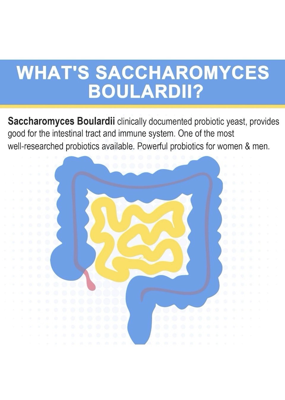 Saccharomyces Boulardii Probiotics 200 Billion CFUs, Clinically-Studied Probi…