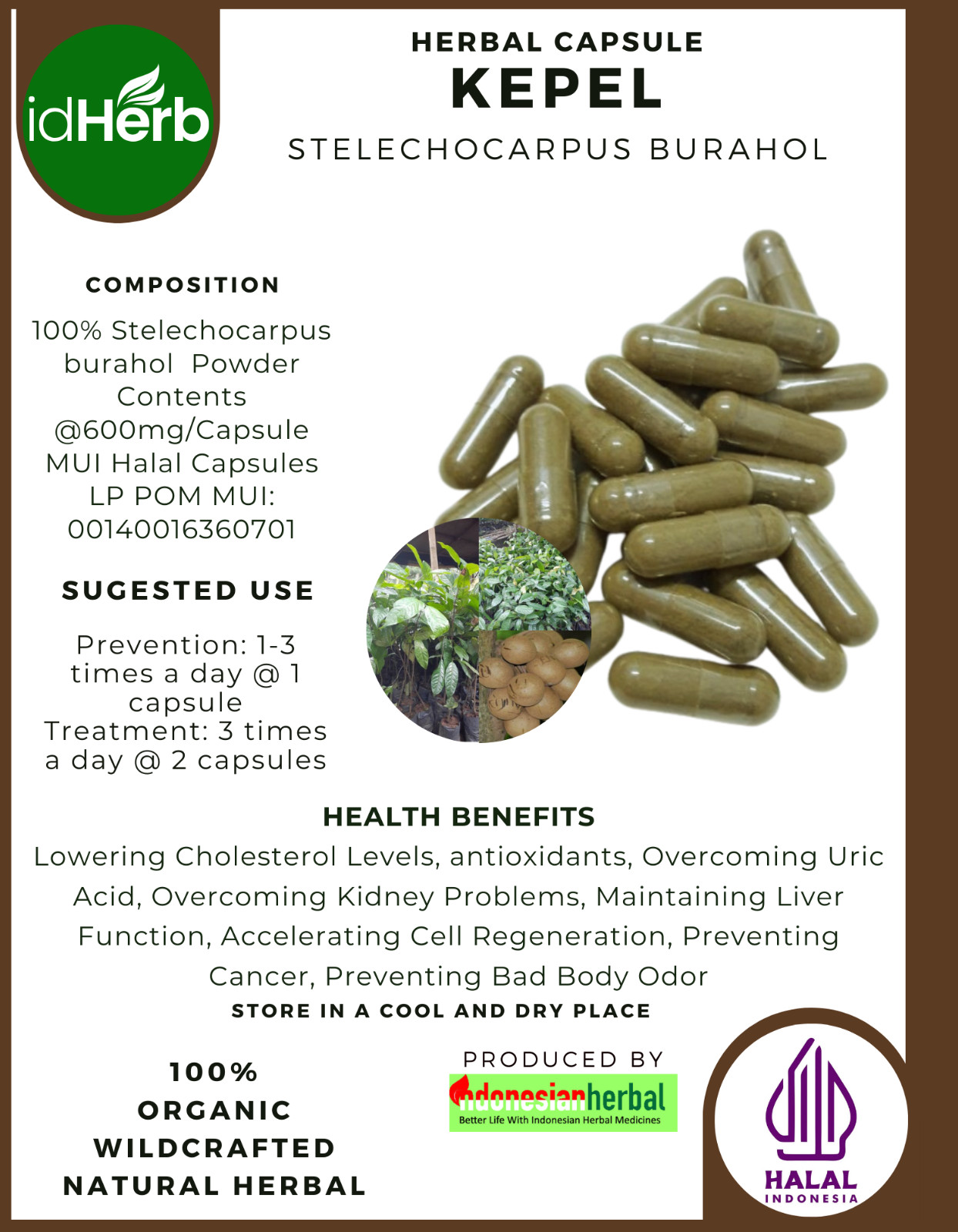 [idHerb] 100-800 Capsules Kepel Keppel Fruit Stelechocarpus Burahol WildCrafted