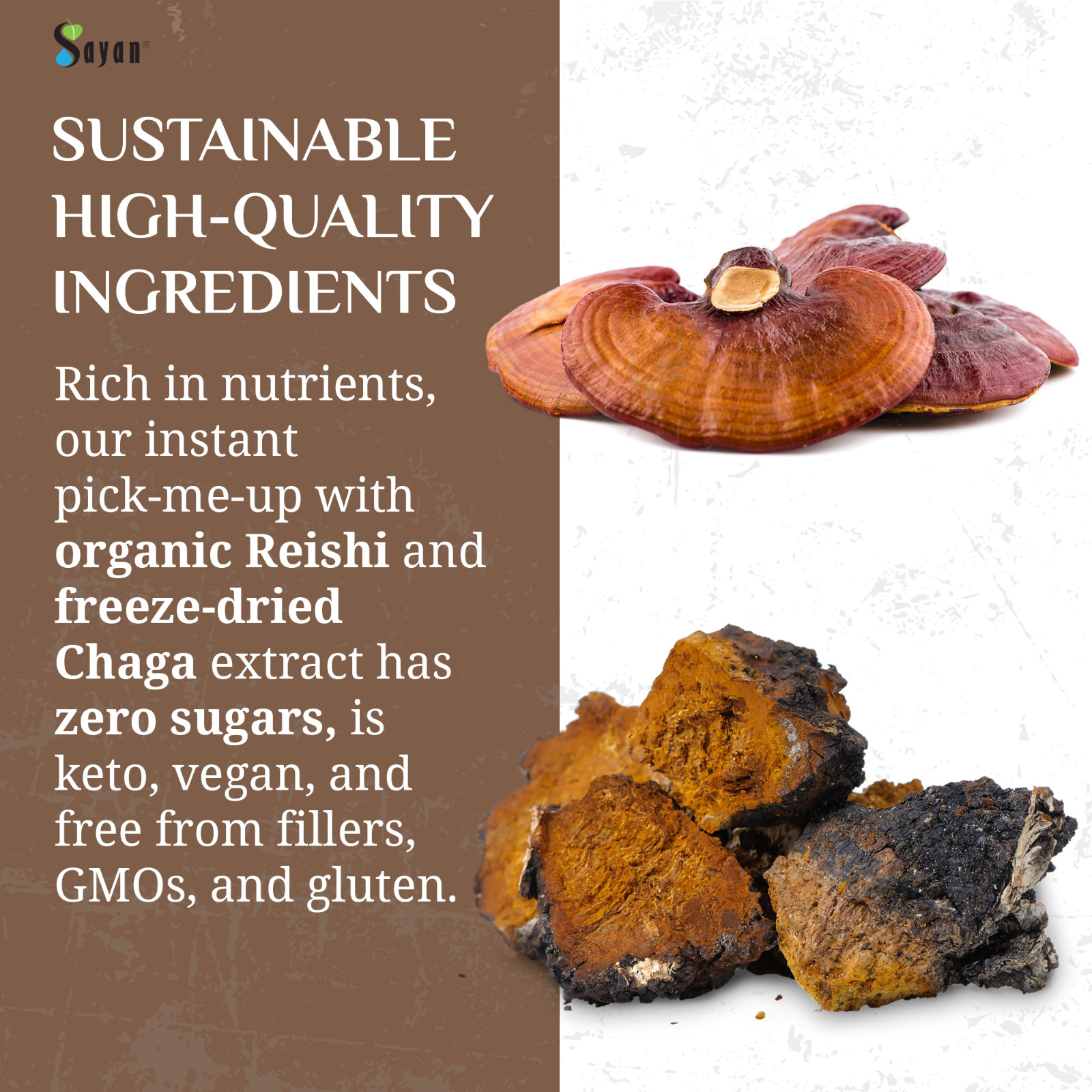 Best Mushroom Coffee Organic Ganoderma Reishi Alternative For Healthy Gut 20 Pak