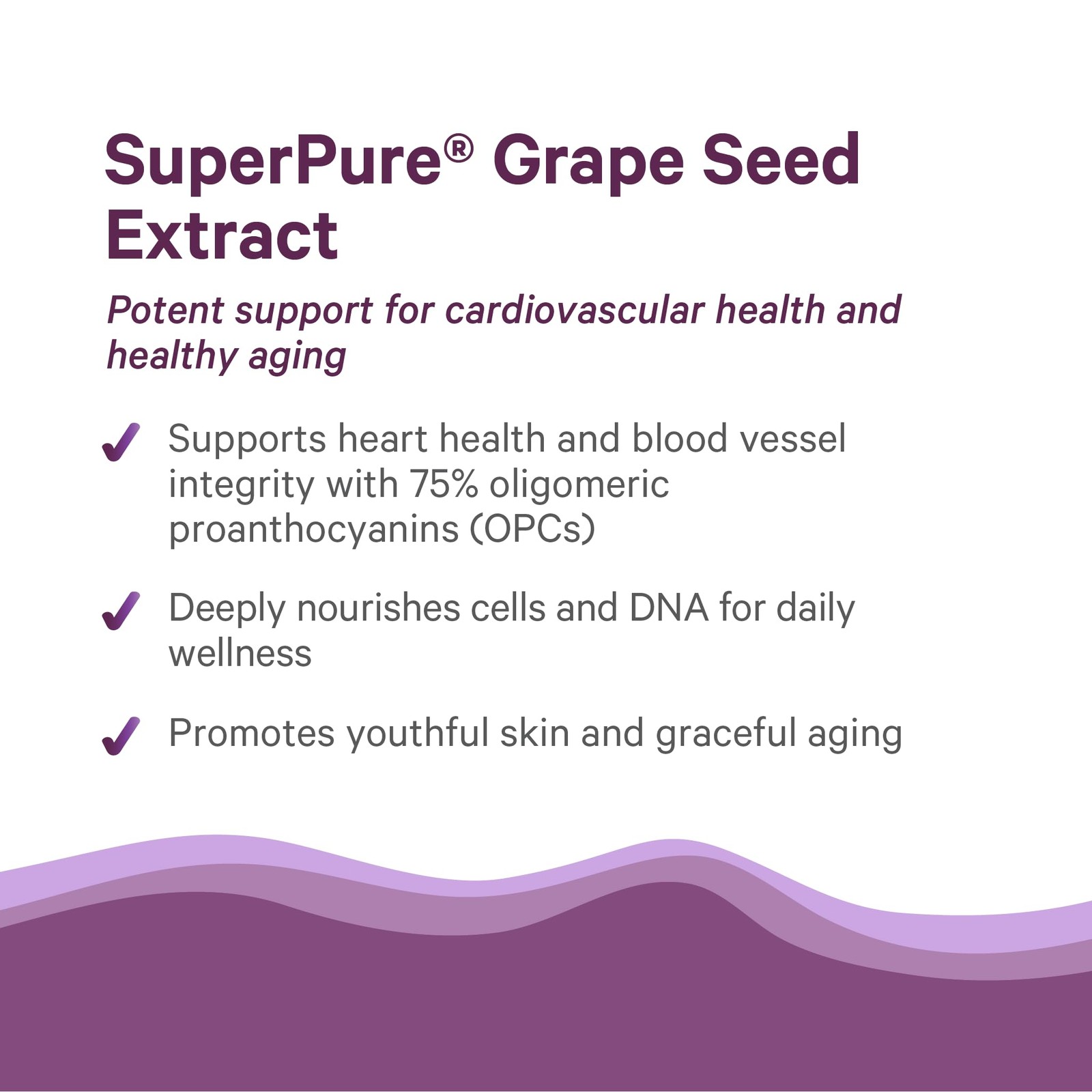 Organic Grape Seed Extract Supplement for Heart Health and Skin Support (60