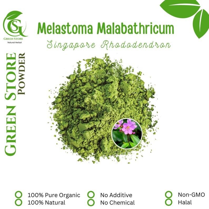 50 g – 500 g Organic Pure Powder Of Common Sendudok Melastoma Malabathricum herb