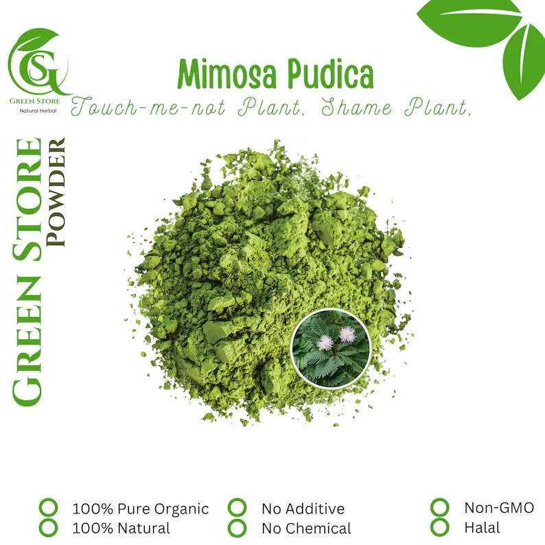 50 g – 500 g Organic Pure Powder Of Touch-me-not Plant Shy Plant Mimosa Pudica