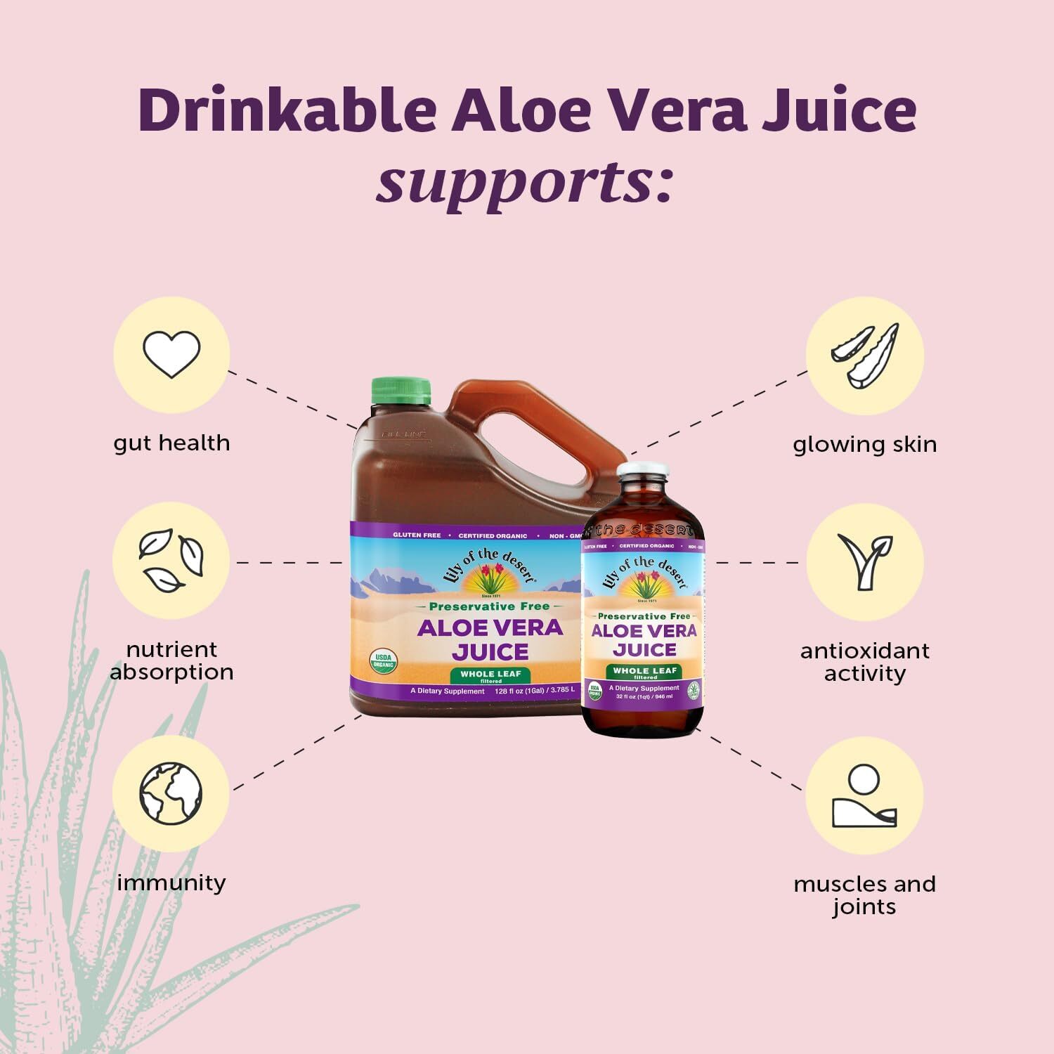 Organic Whole Leaf Aloe Vera Juice 128 Fl Oz Gut Health Vegan Non Gmo