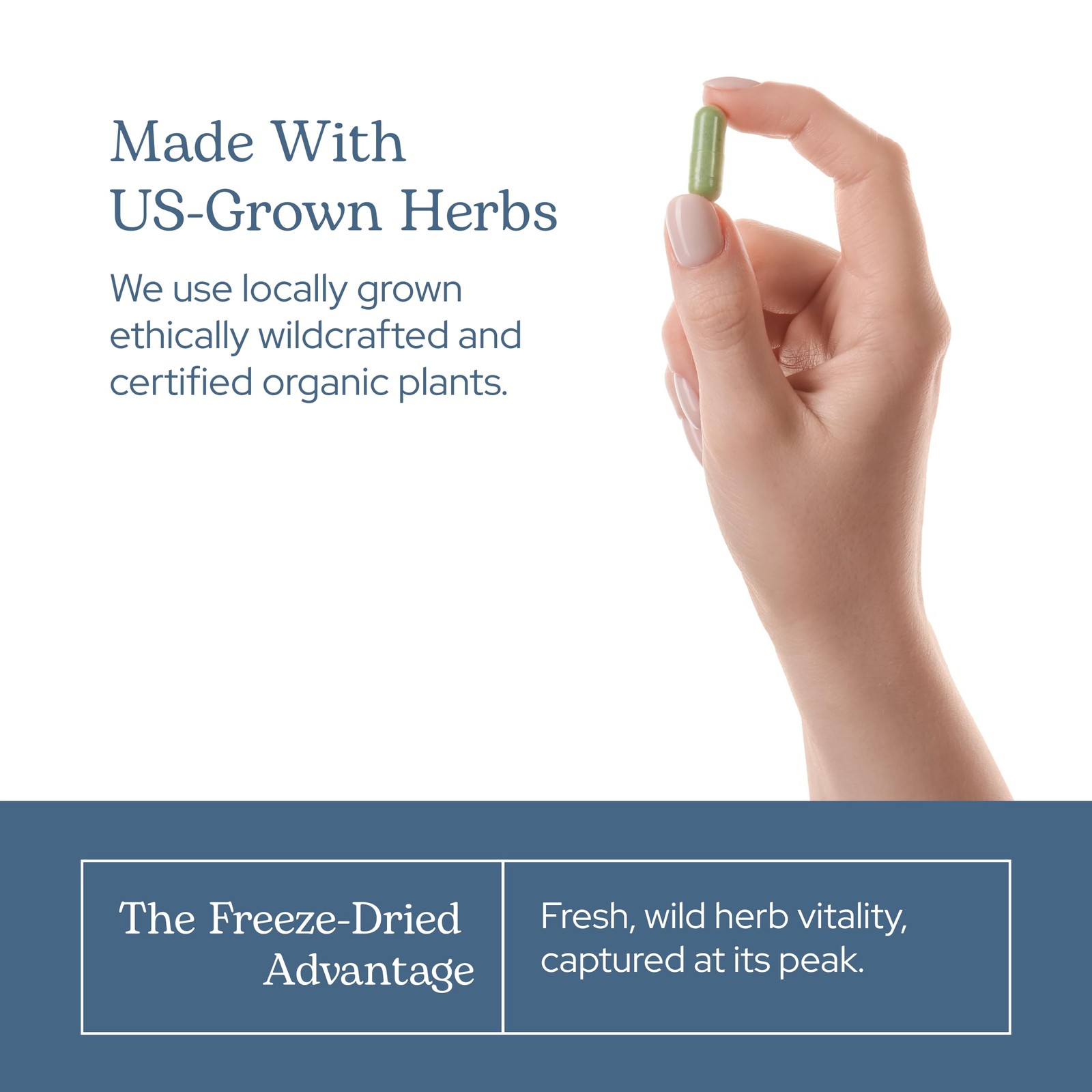 Eclectic Herb – Bitter Melon Capsules | Digestion & Immune Support Supplement…