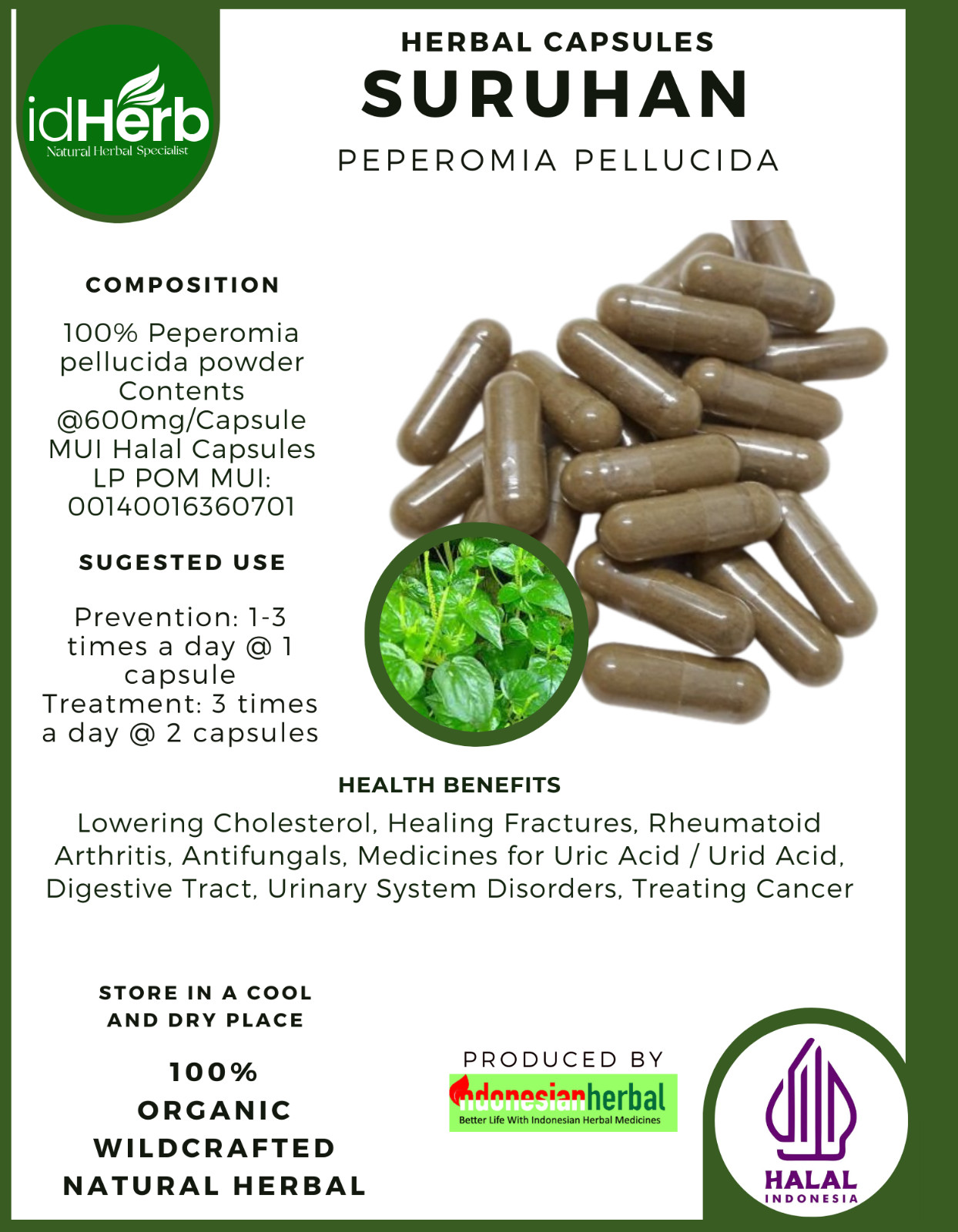 [idHerb] 100-800 Capsules Shiny Bush Pepper Elder Peperomia Pellucida Organic