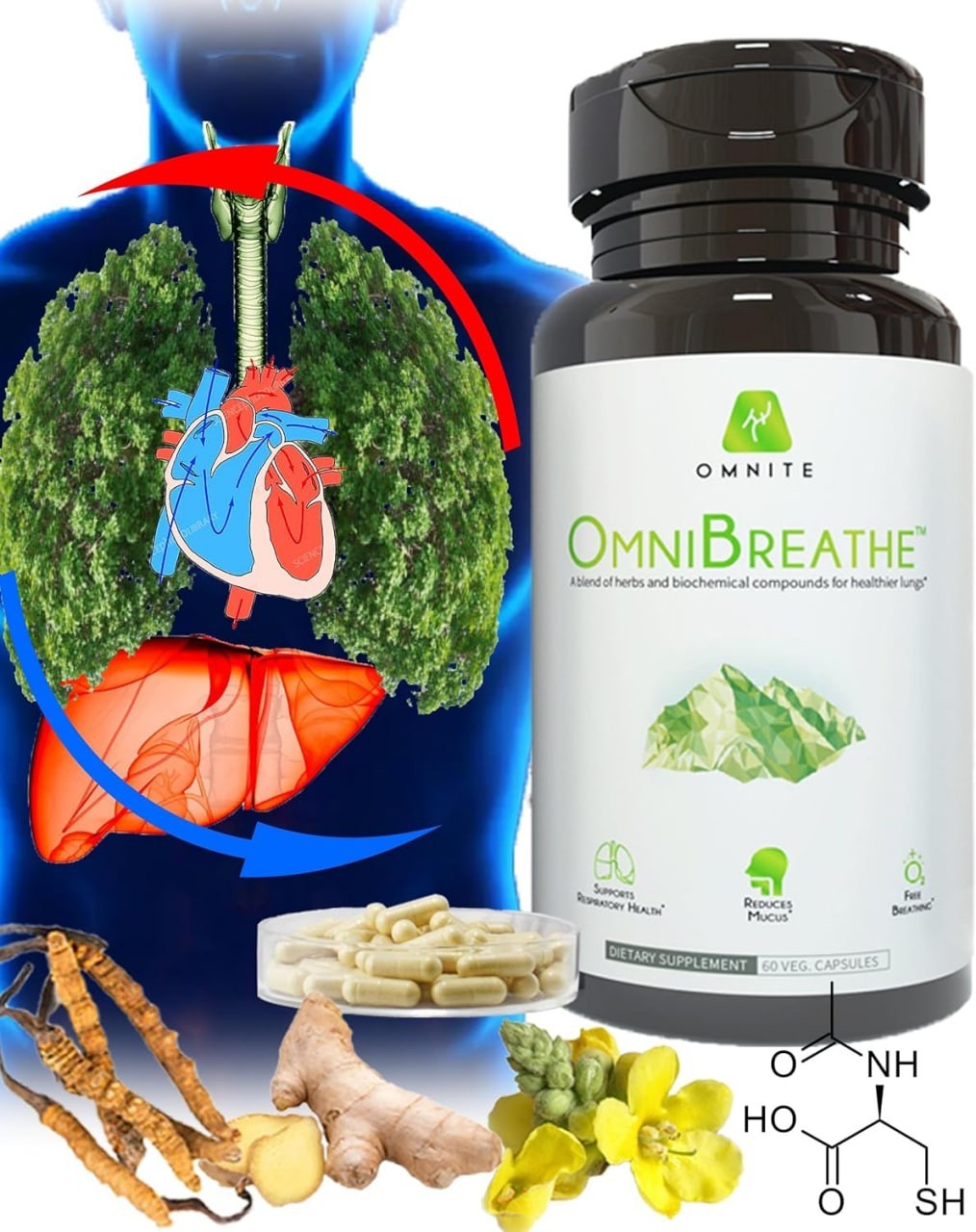 Omnibreathe Respiratory Wellness Lung (Better Breathe) -60 Cap EXP 07/2026