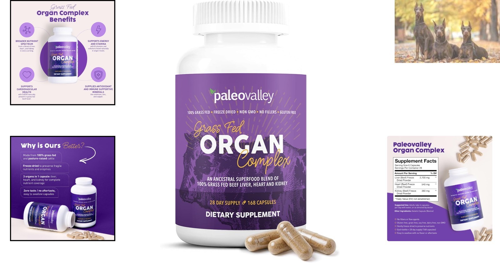 Paleo-Friendly Grass-Fed Beef Organ Complex – Nutritional Capsules, Unflavored