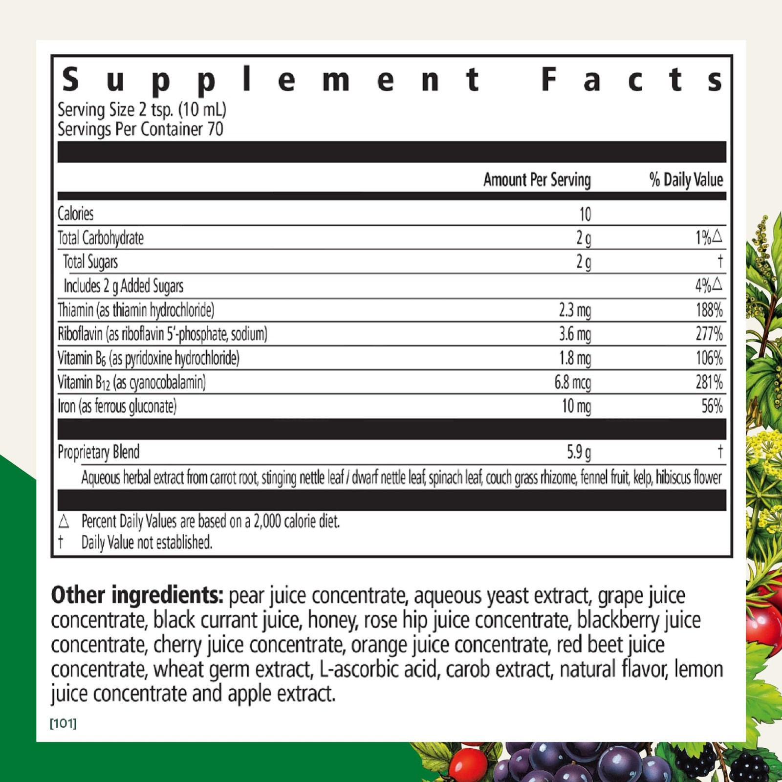 Floradix Iron & Herbs – Liquid Herbal Supplement for 23.7 Fl Oz (Pack of 1)