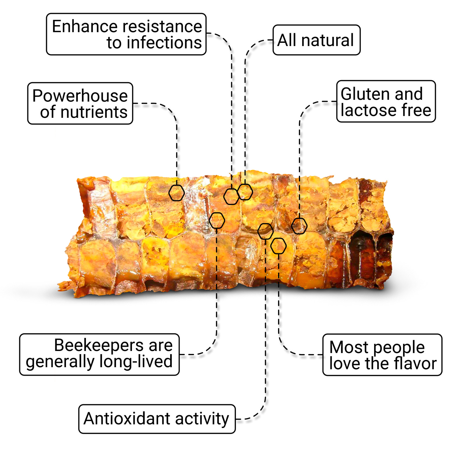 Bee Bread, Pure Fermented Bee Pollen, Organic Supplement 3.5 oz / 100g Raw Perga