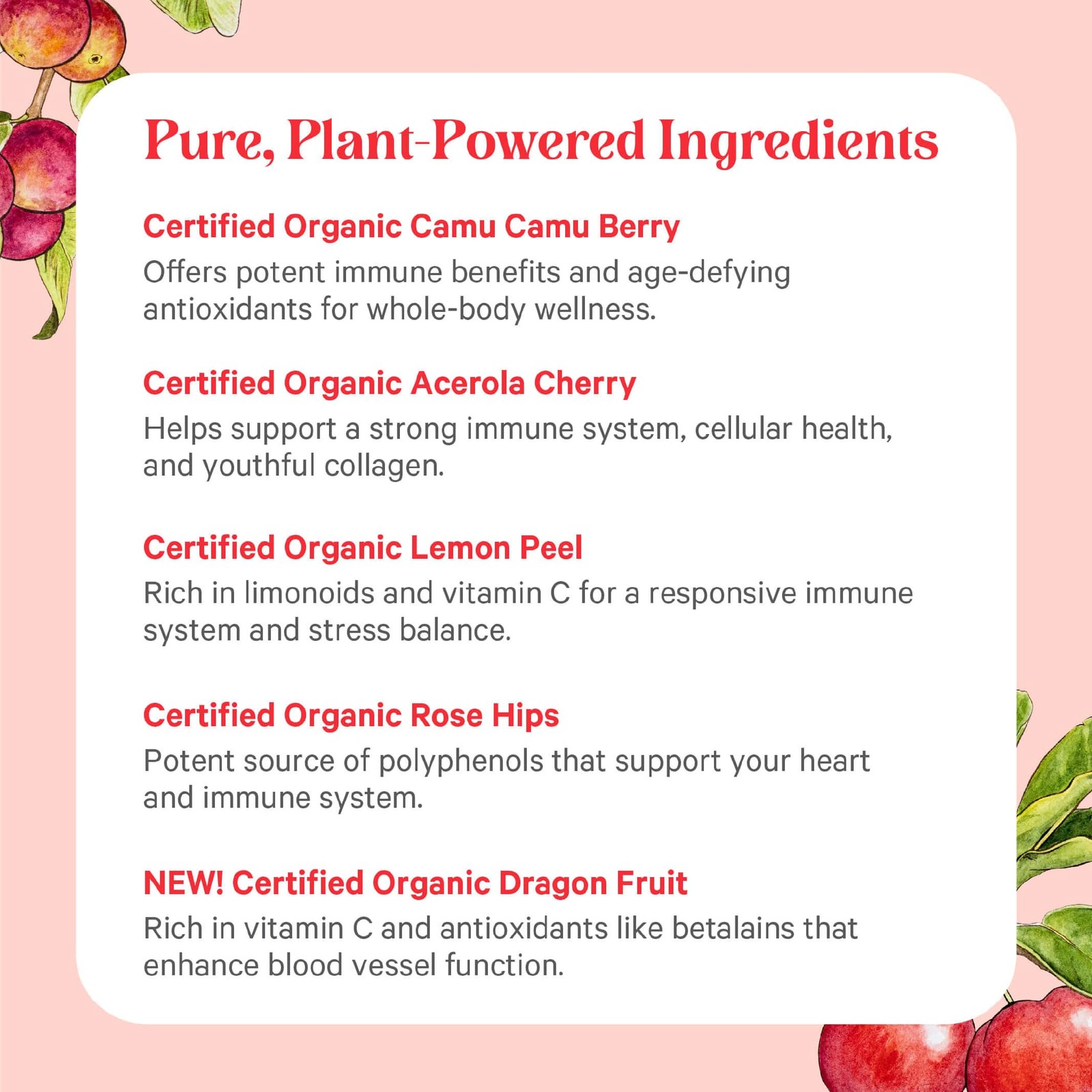 PURE SYNERGY Pure Radiance C | Organic Vitamin 90 Count (Pack of 1), No Color