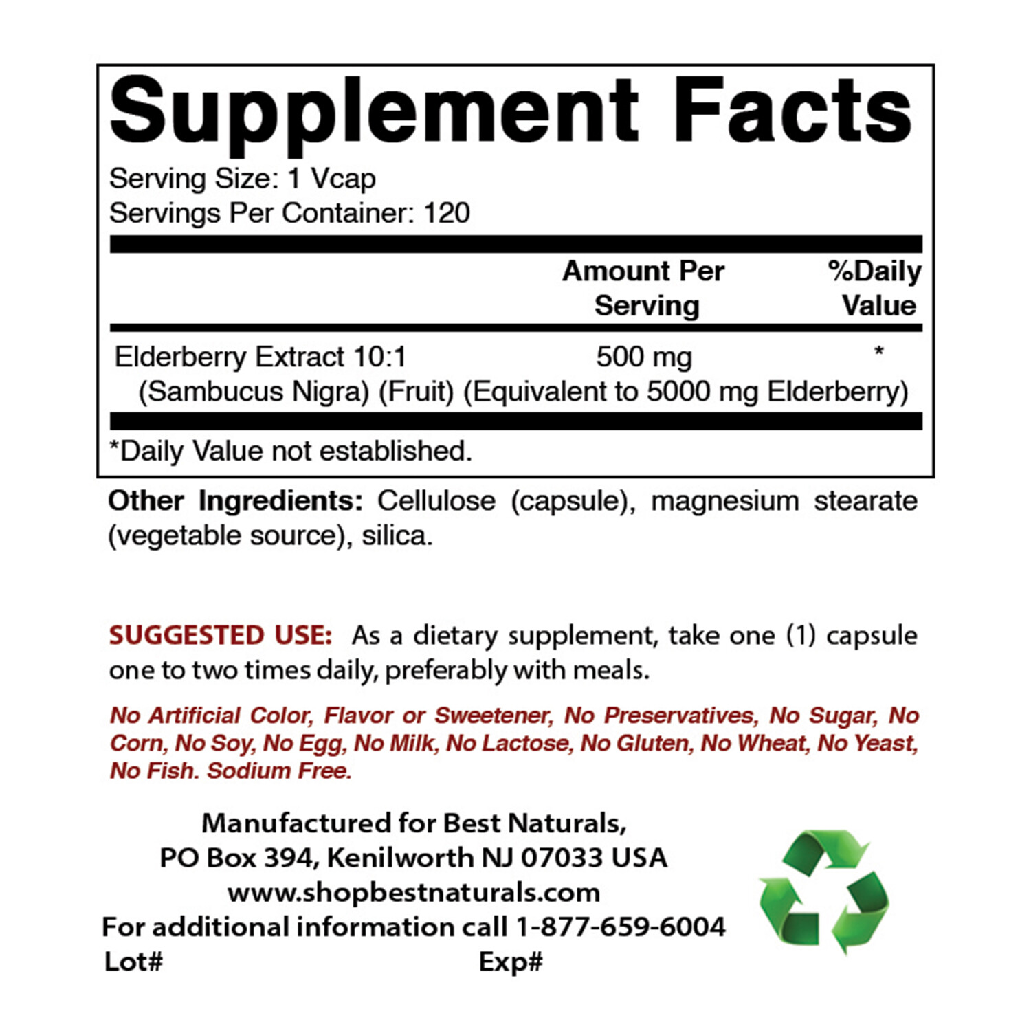 Best Naturals Elderberry 5000mg 120 Veg Capsules