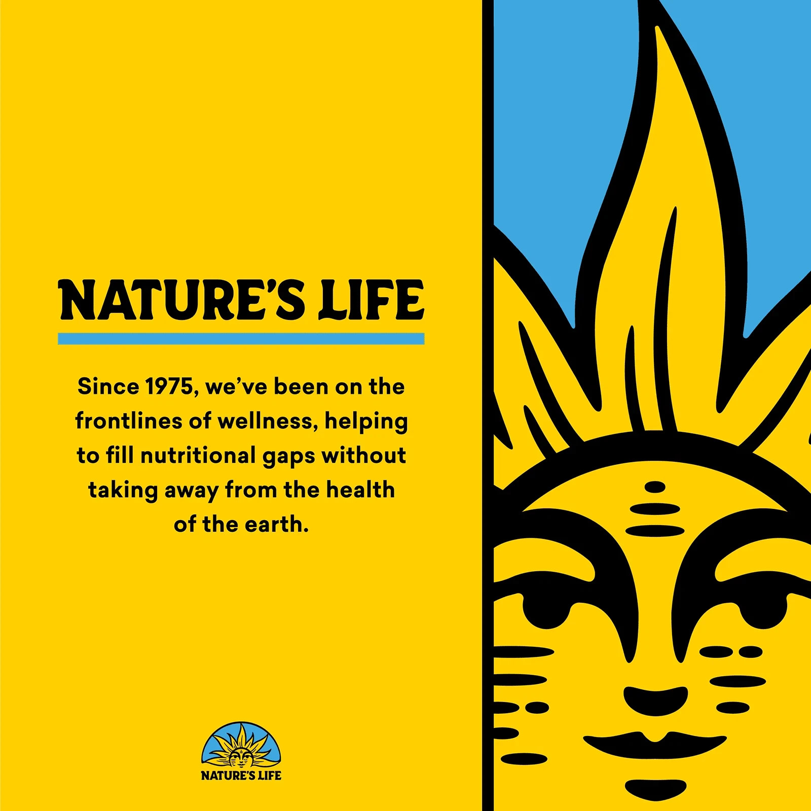 Nature’s Life Strengthening D-2 (50 mcg) 90 Veg Capsules Each (Pack of 3)