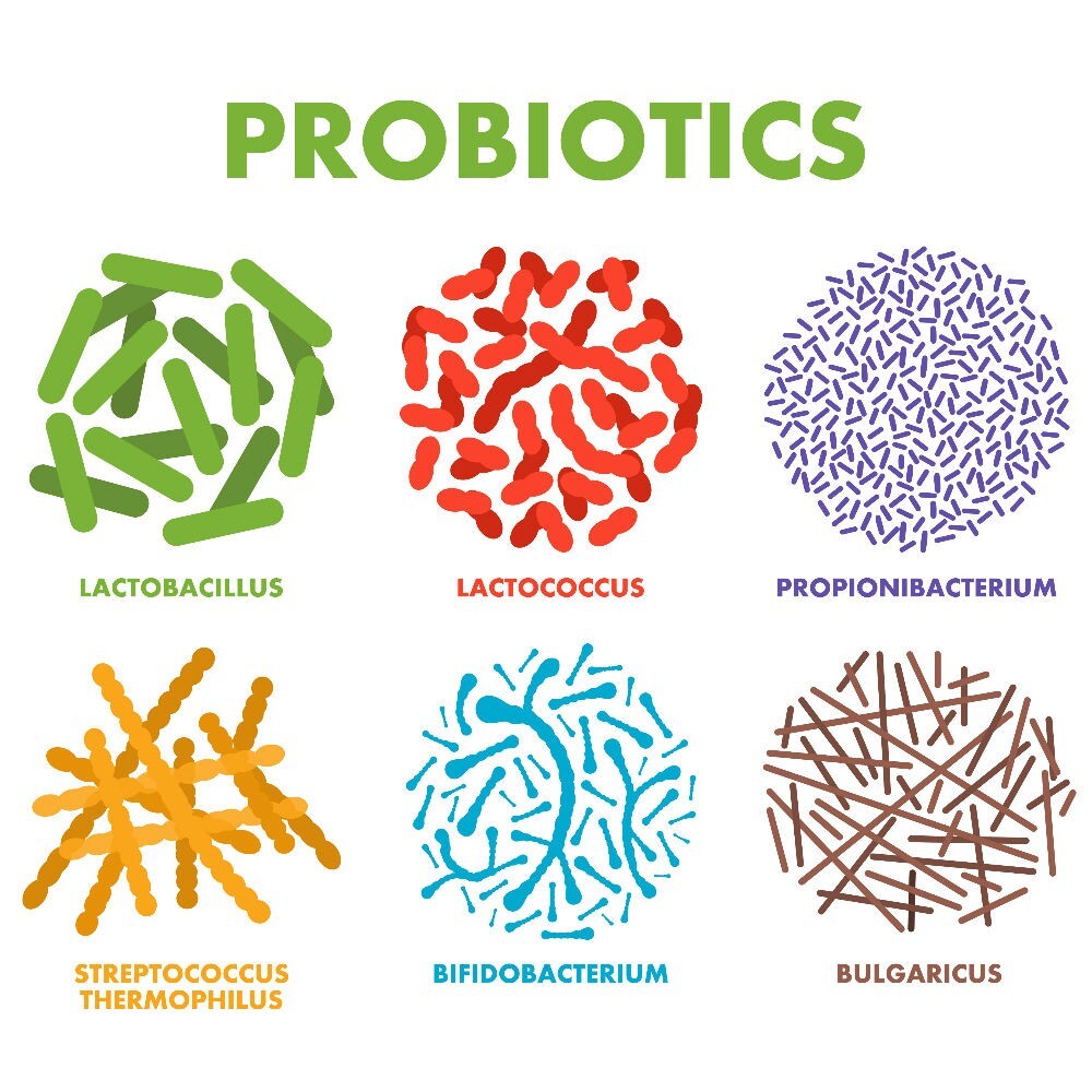 3 x Raw Probiotics 100 Billion CFU Potency Digestive Immune Health 360 Capsules
