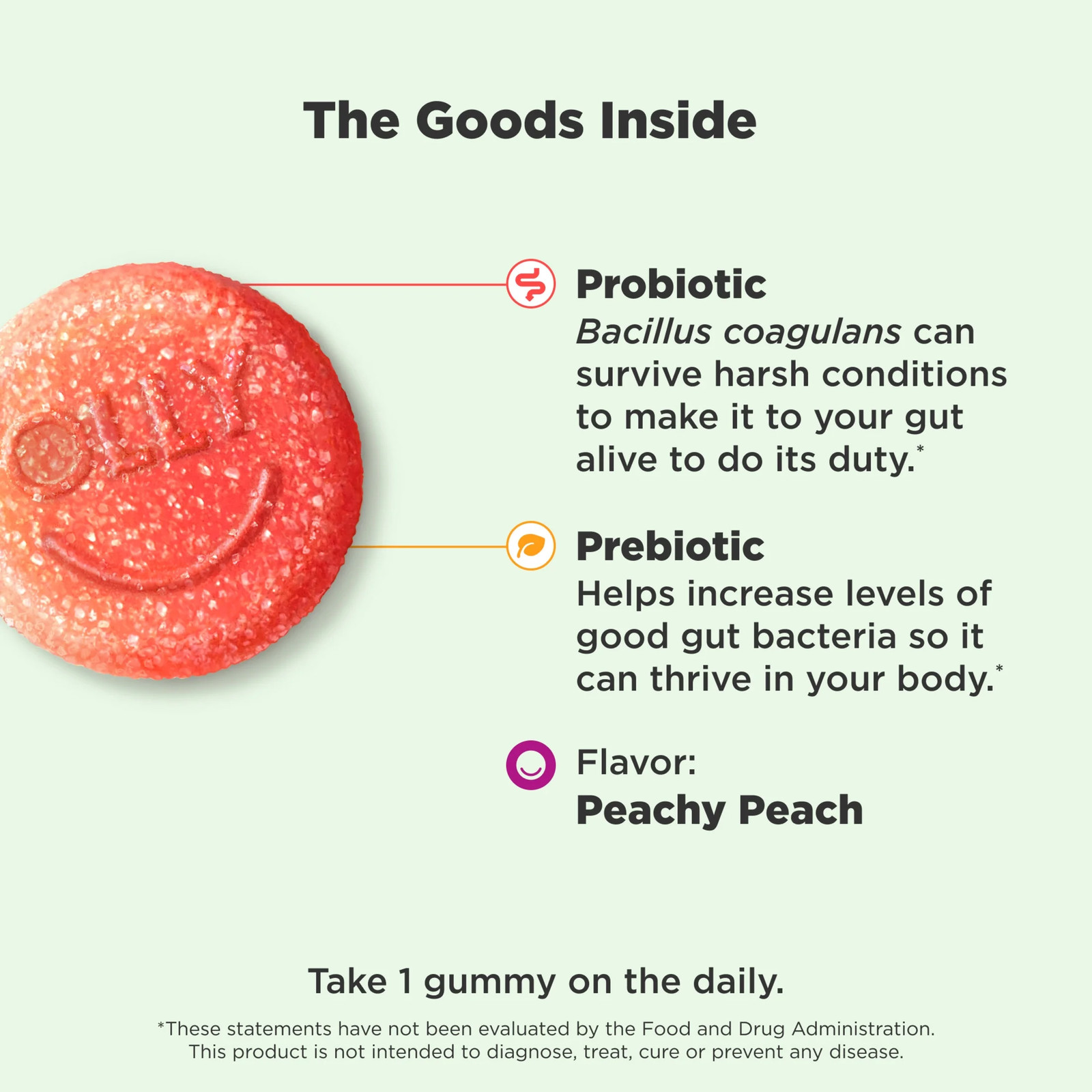 Probiotic + Prebiotic Fiber Gummy,Digestive + Gut Health Supplement,Peach, 30 Ct