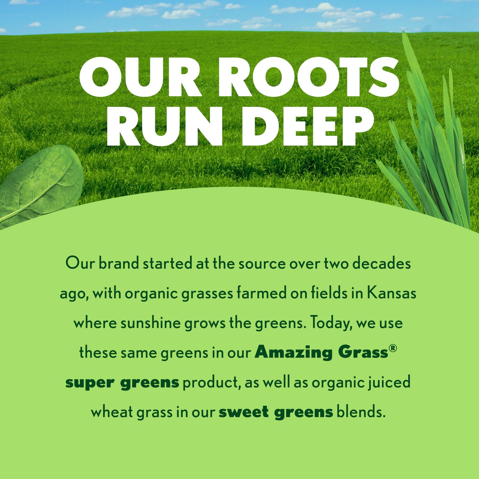 Amazing Grass Super Greens Capsules, Superfood, Greens Pills, Organic Spiruli…