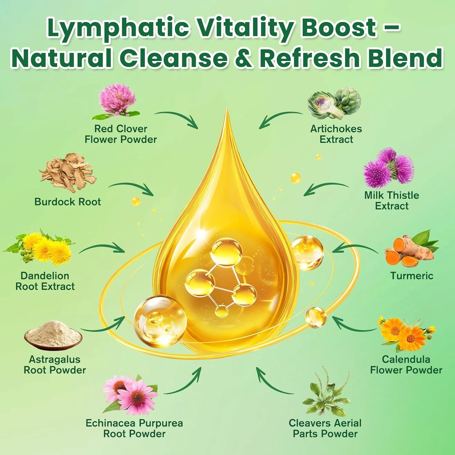 Liposomal Lymphatic Drainage Drops – Lymphatic Drainage Supplements with Milk…