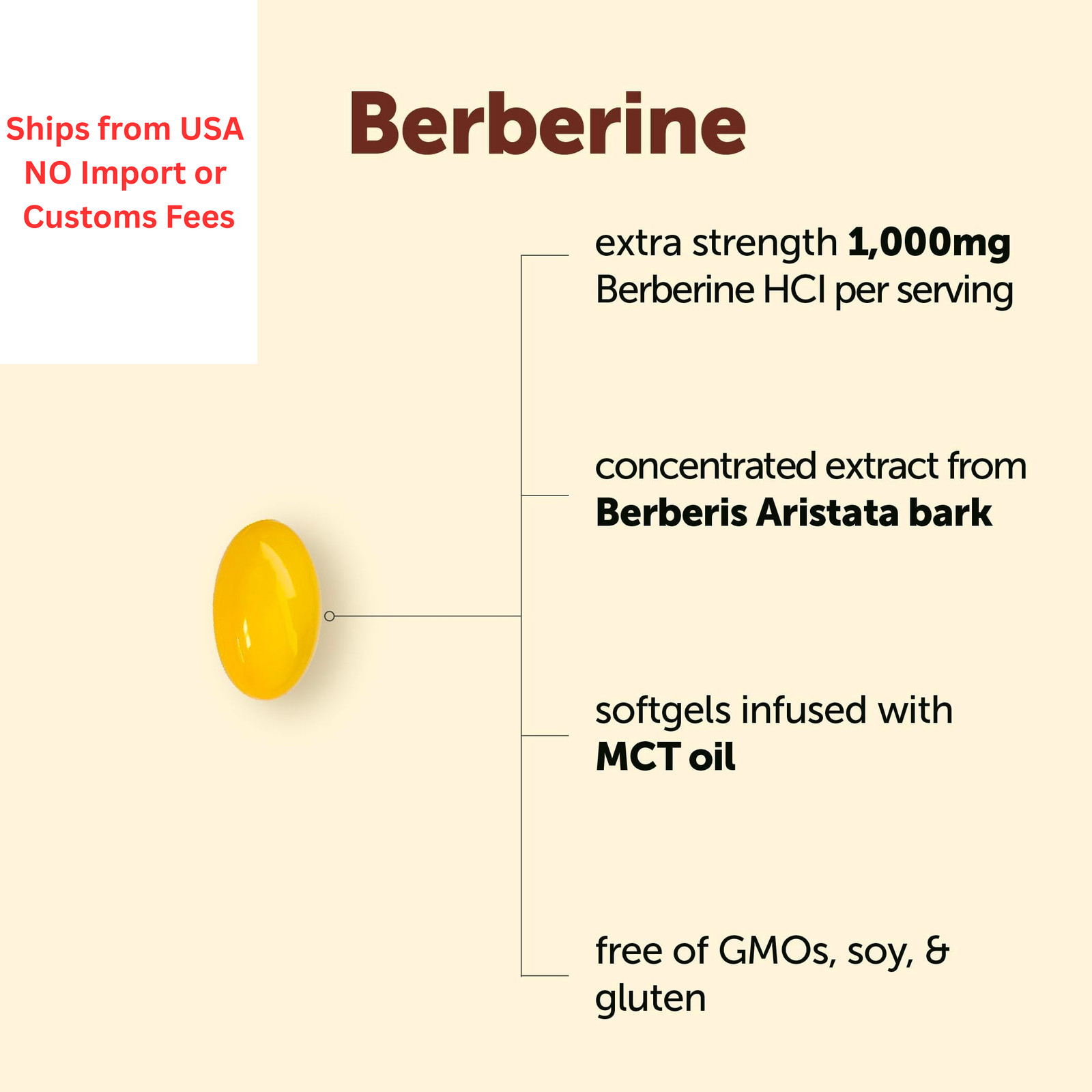 Micro Ingredients Berberine 1000mg with MCT Oil, 240 240 Count (Pack of 1)