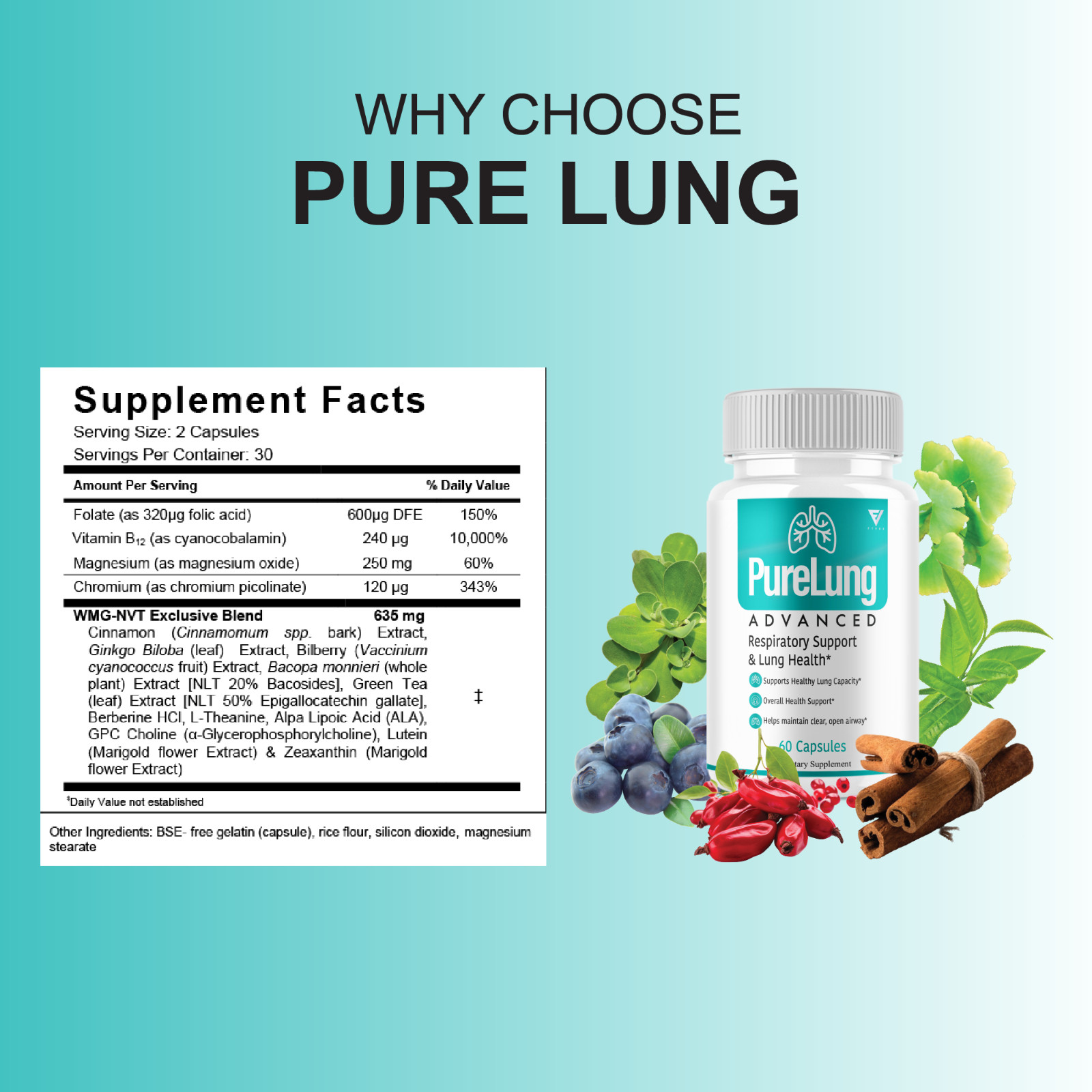 (5 Pack) Pure Lung Advanced Wellness Support, PureLung Health (300 Capsules)